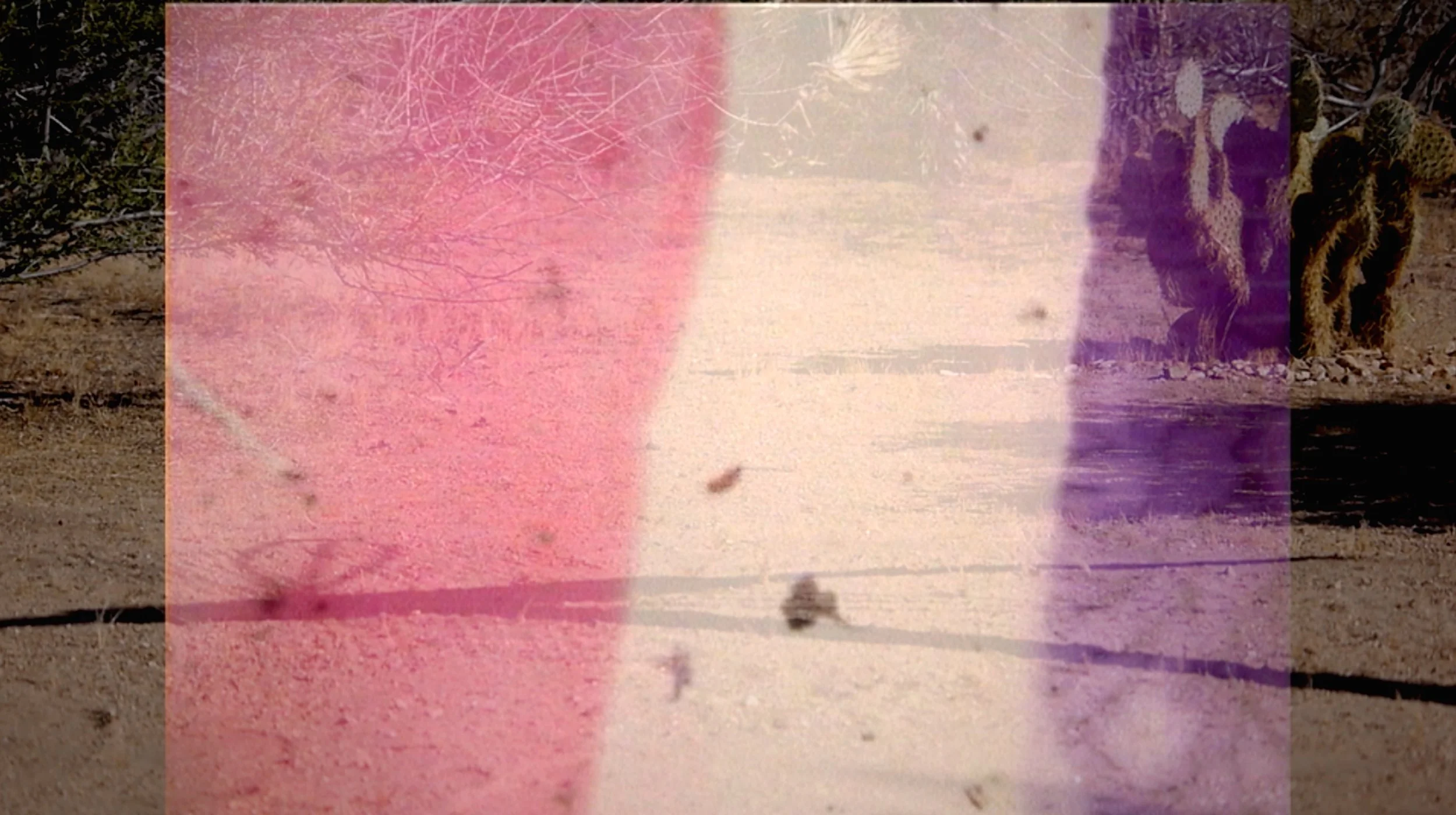xxl navigate film still.jpg