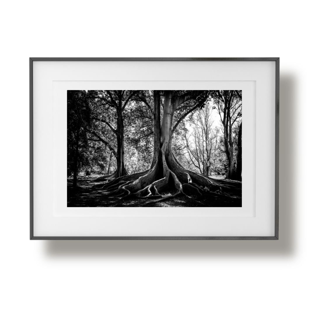 Copy of SophieMosss Print Mockup Simple copy 4.jpg
