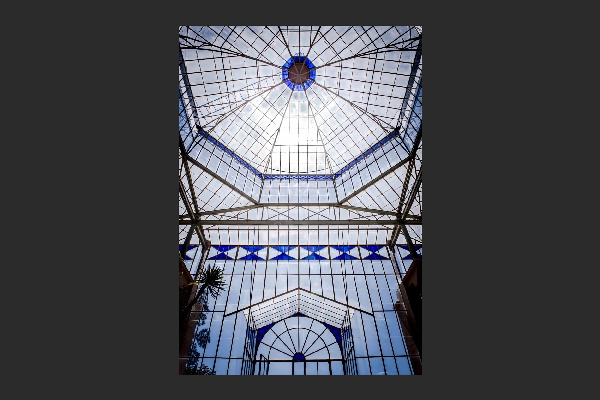 Glass Ceilings - Palm House