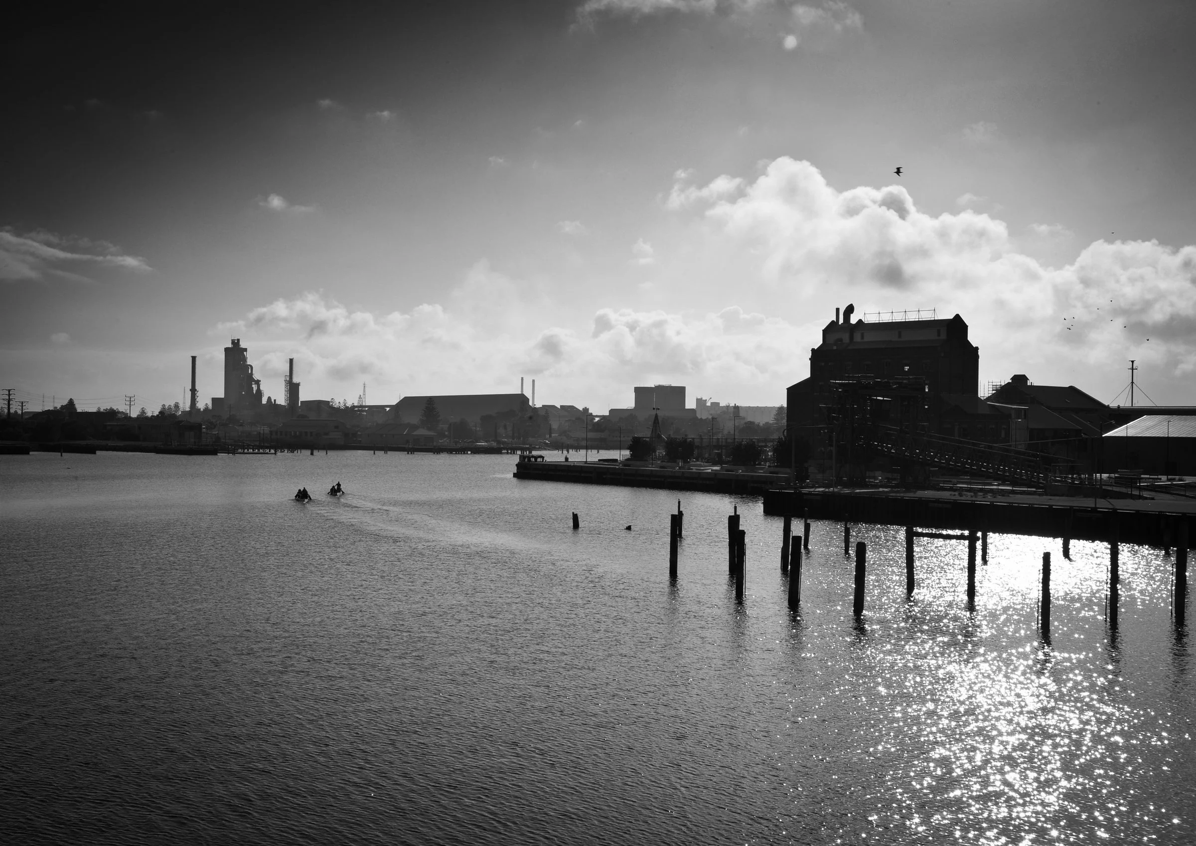 Dragon Boats on the River