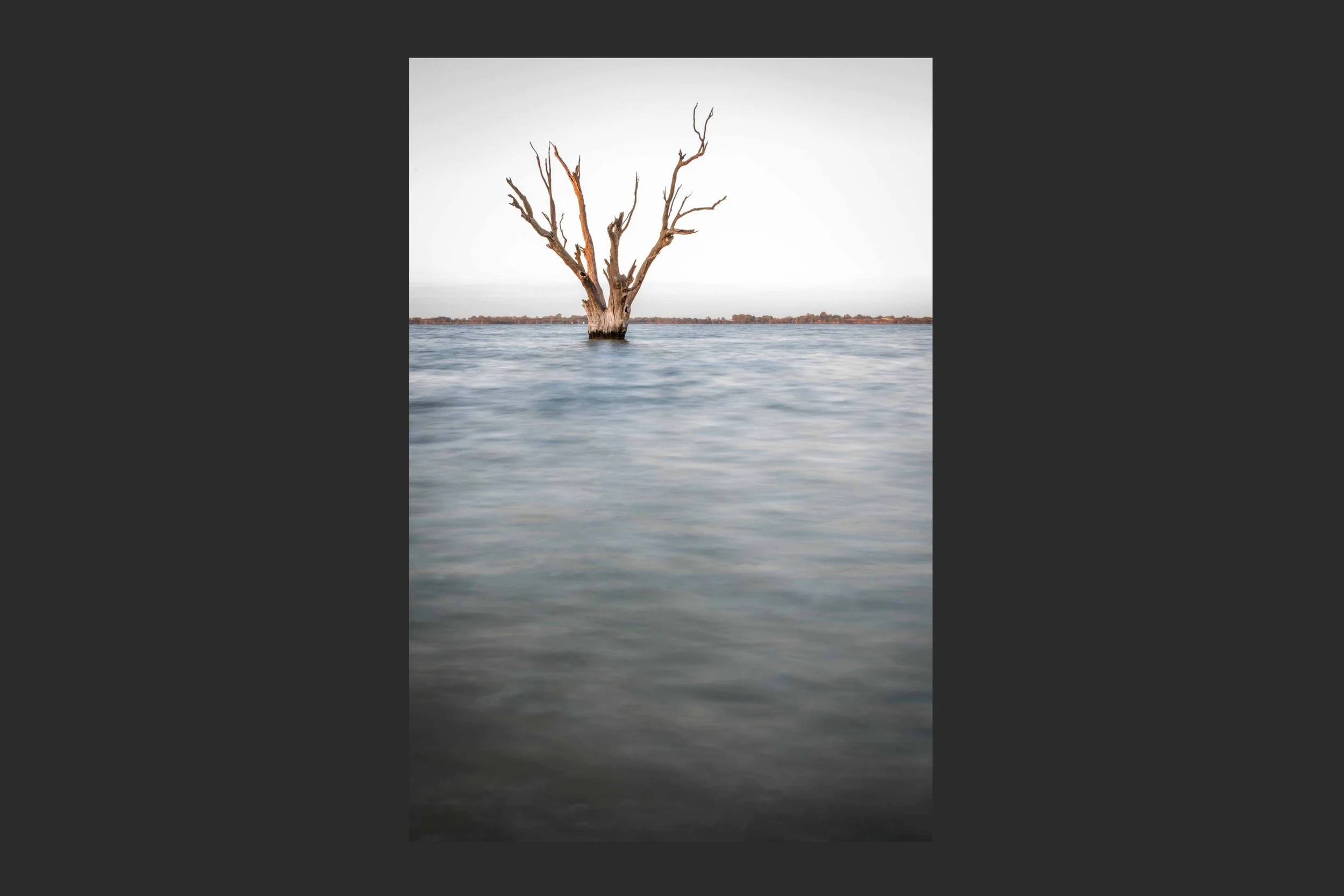 Old Soul #10