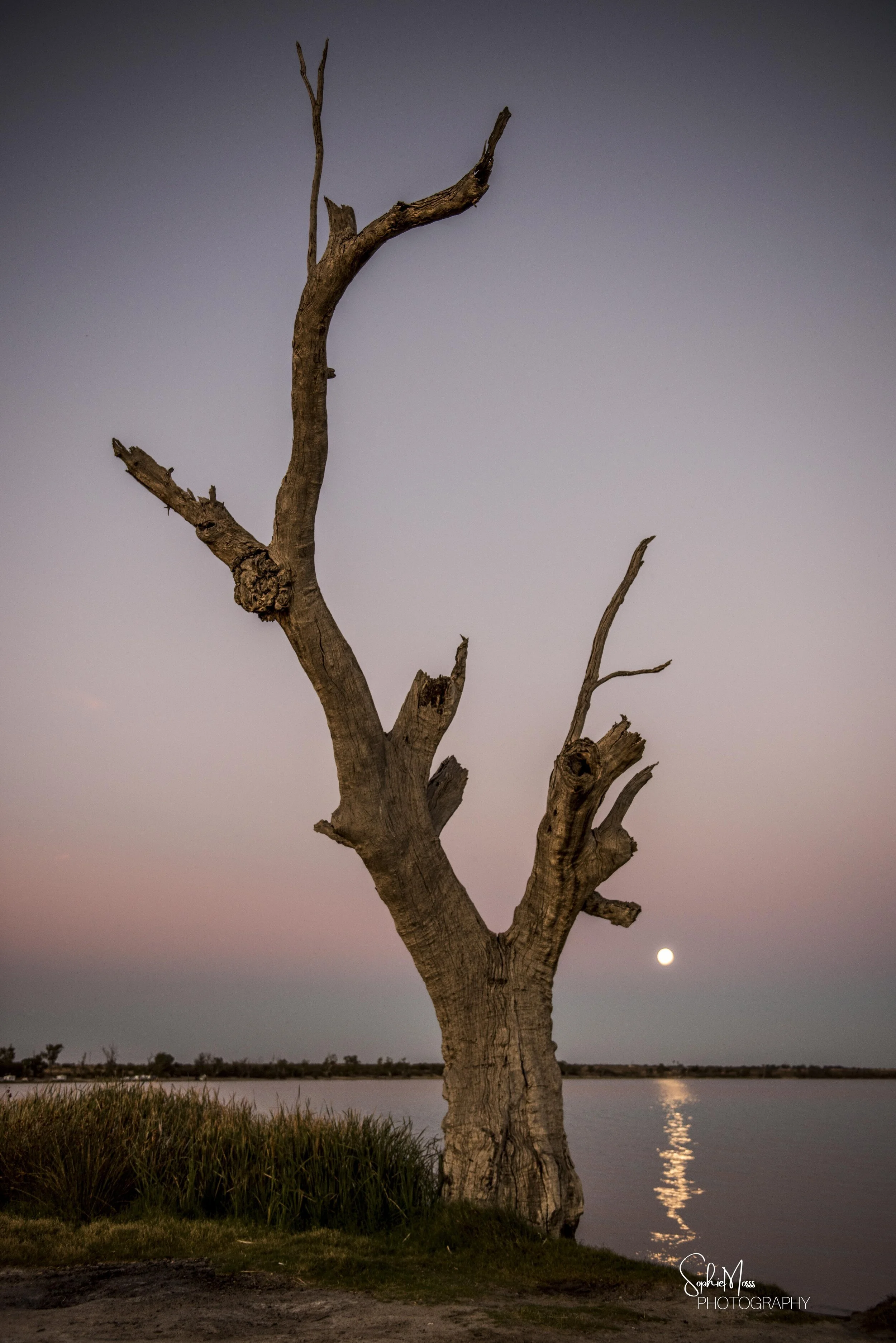 DSC_5778.jpg