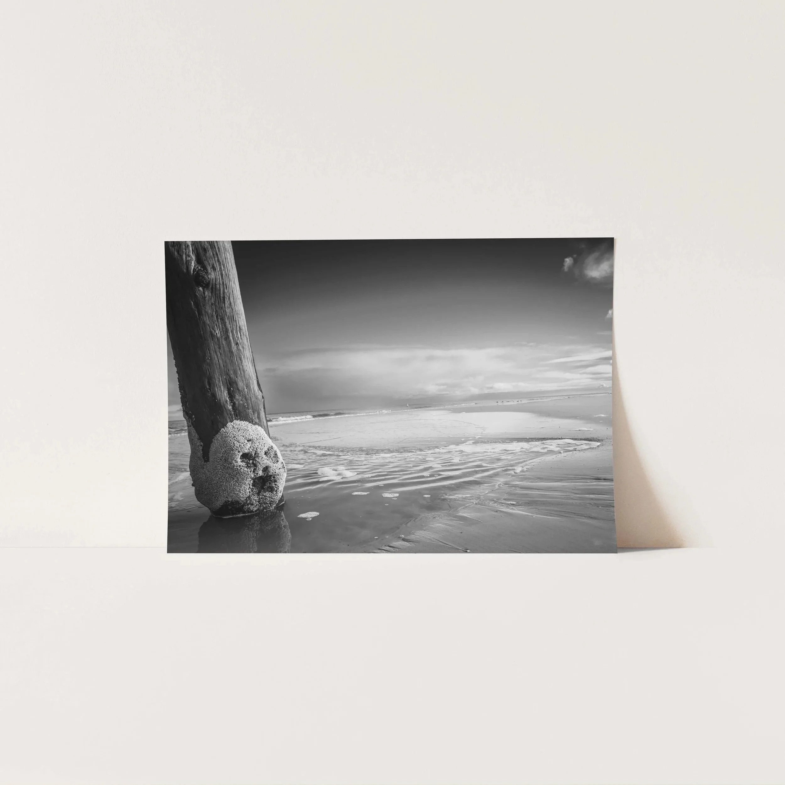 Buoy+and+Barnacle+A4.jpg