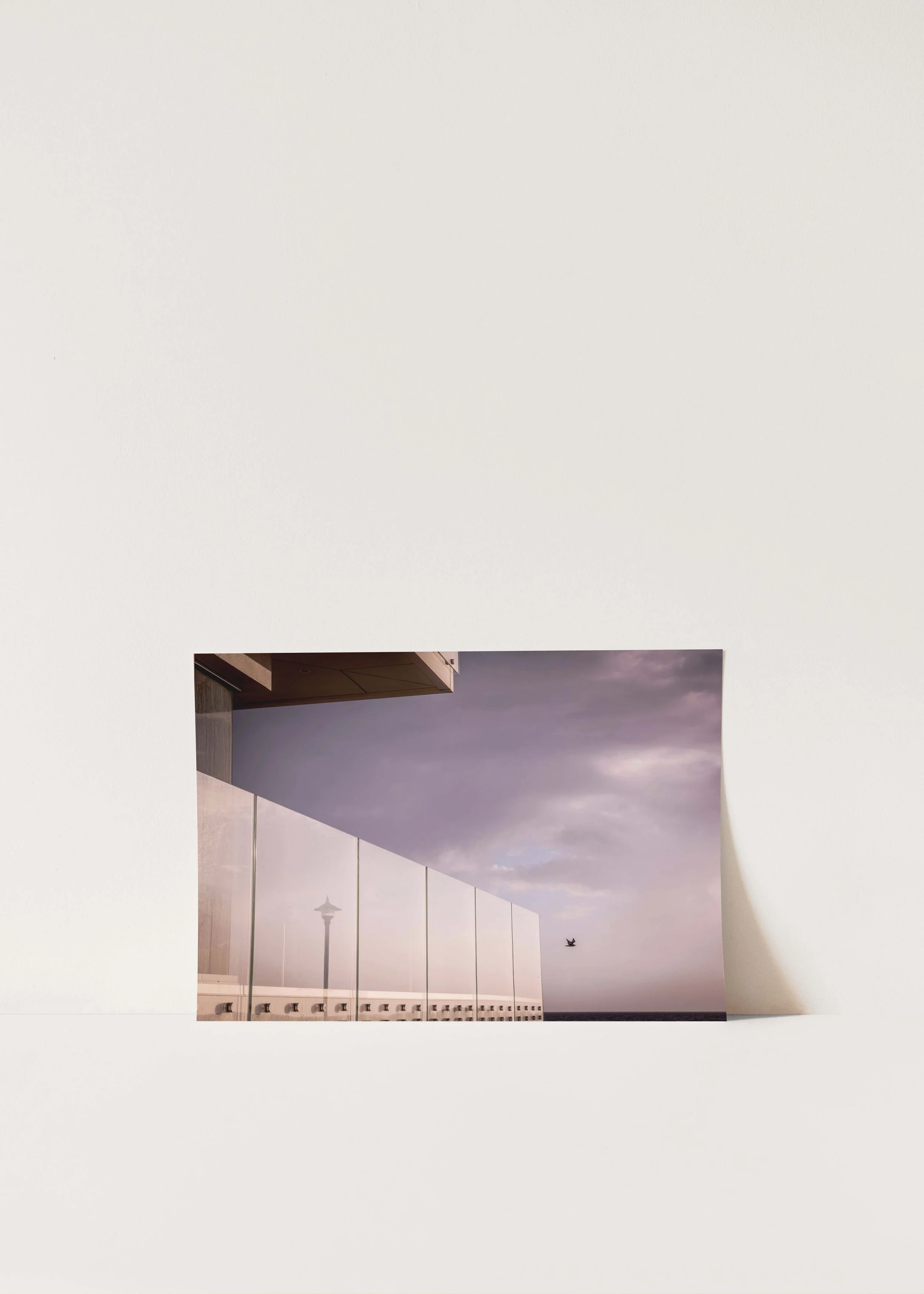 Bird and Lampost A4.jpg