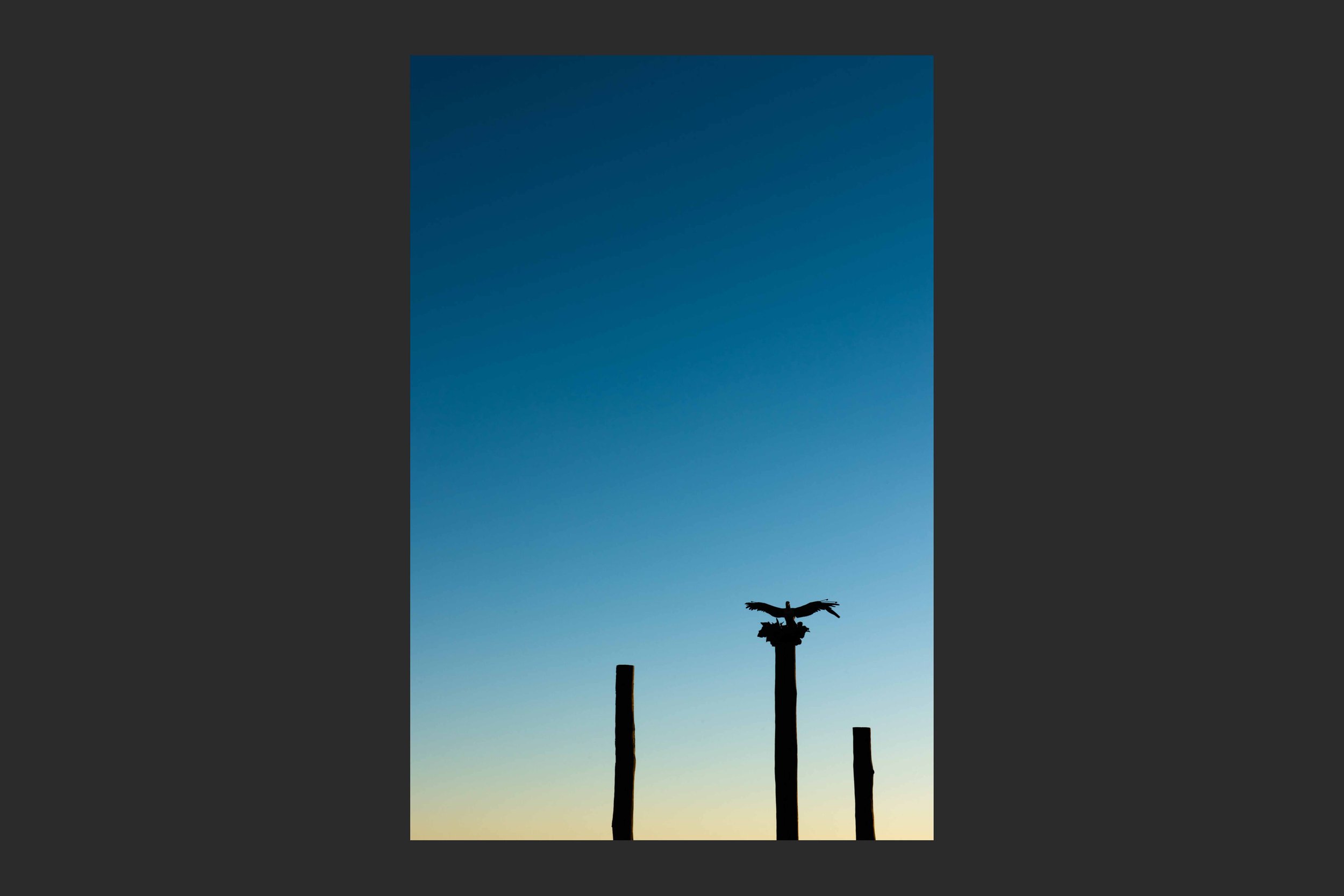 Eagle's Nest