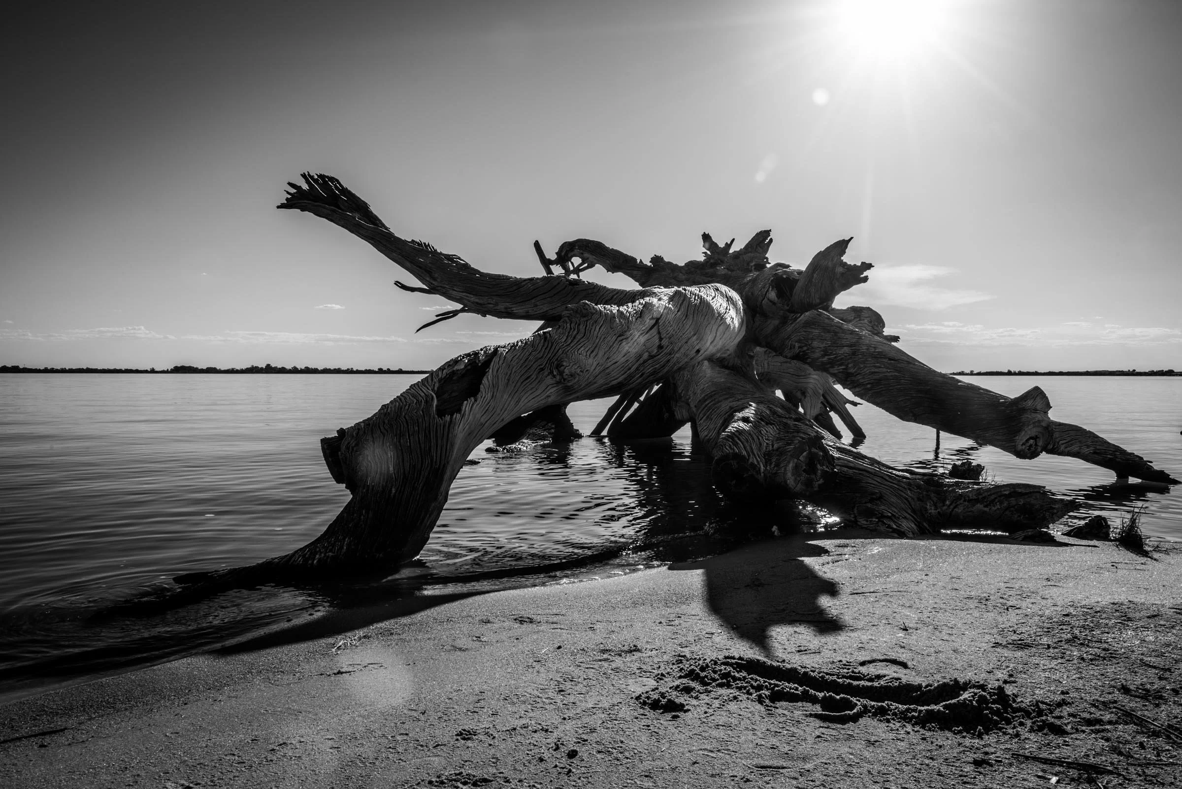 Old Soul #3