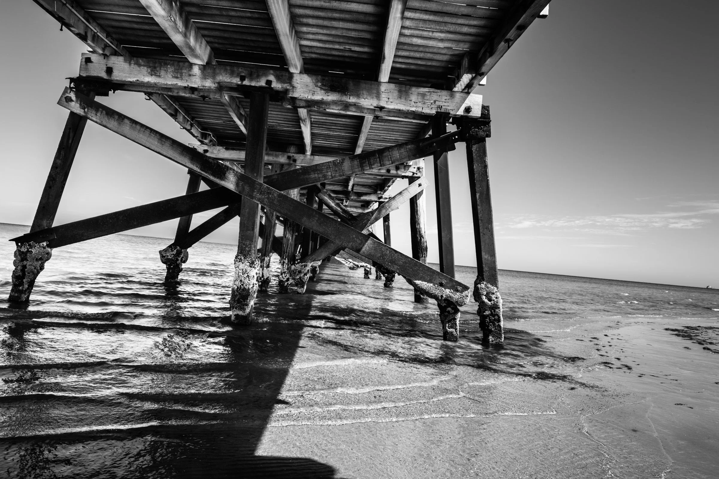 The Underbelly - Semaphore Jetty