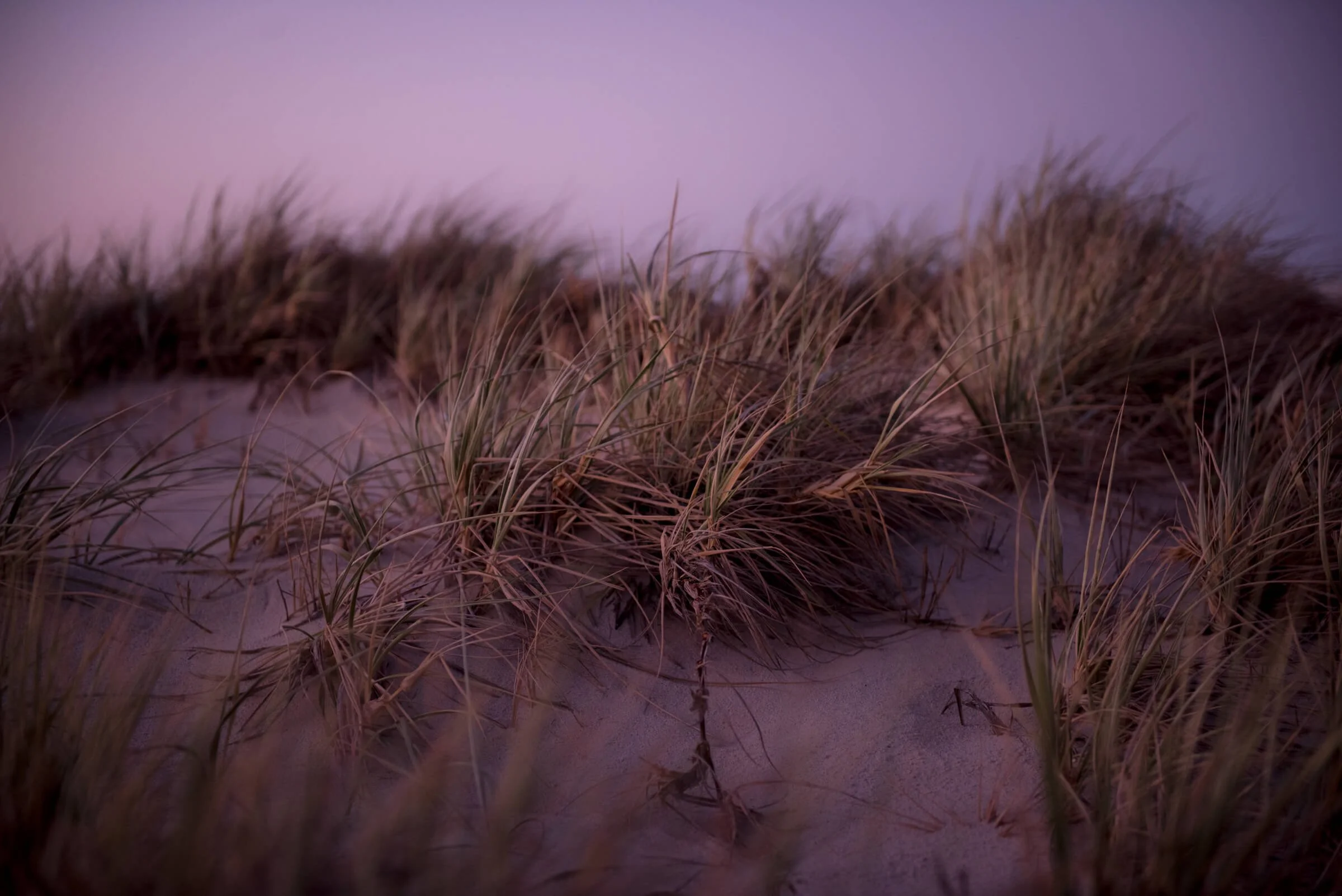Last Light