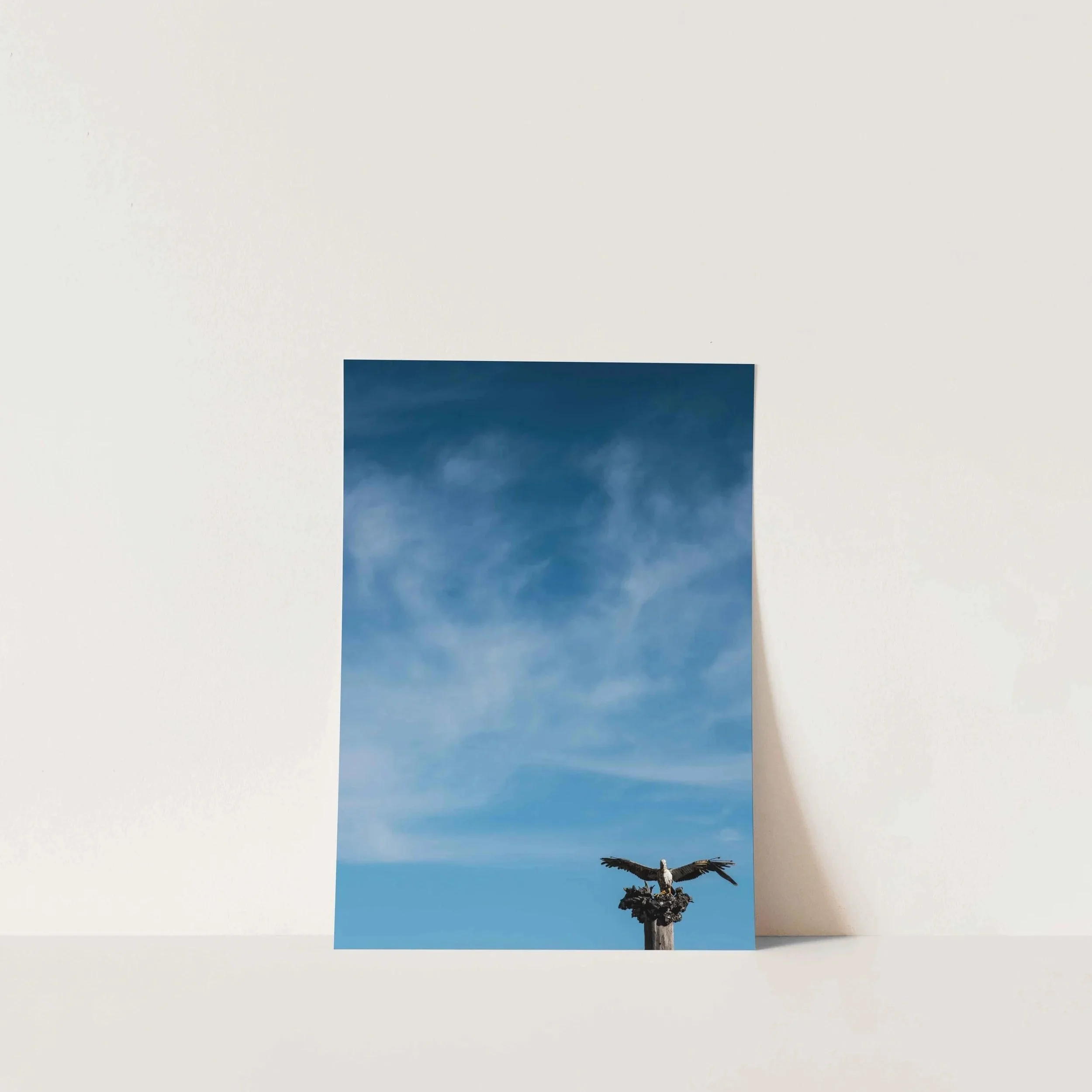 Bird+on+Blue+A4.jpg