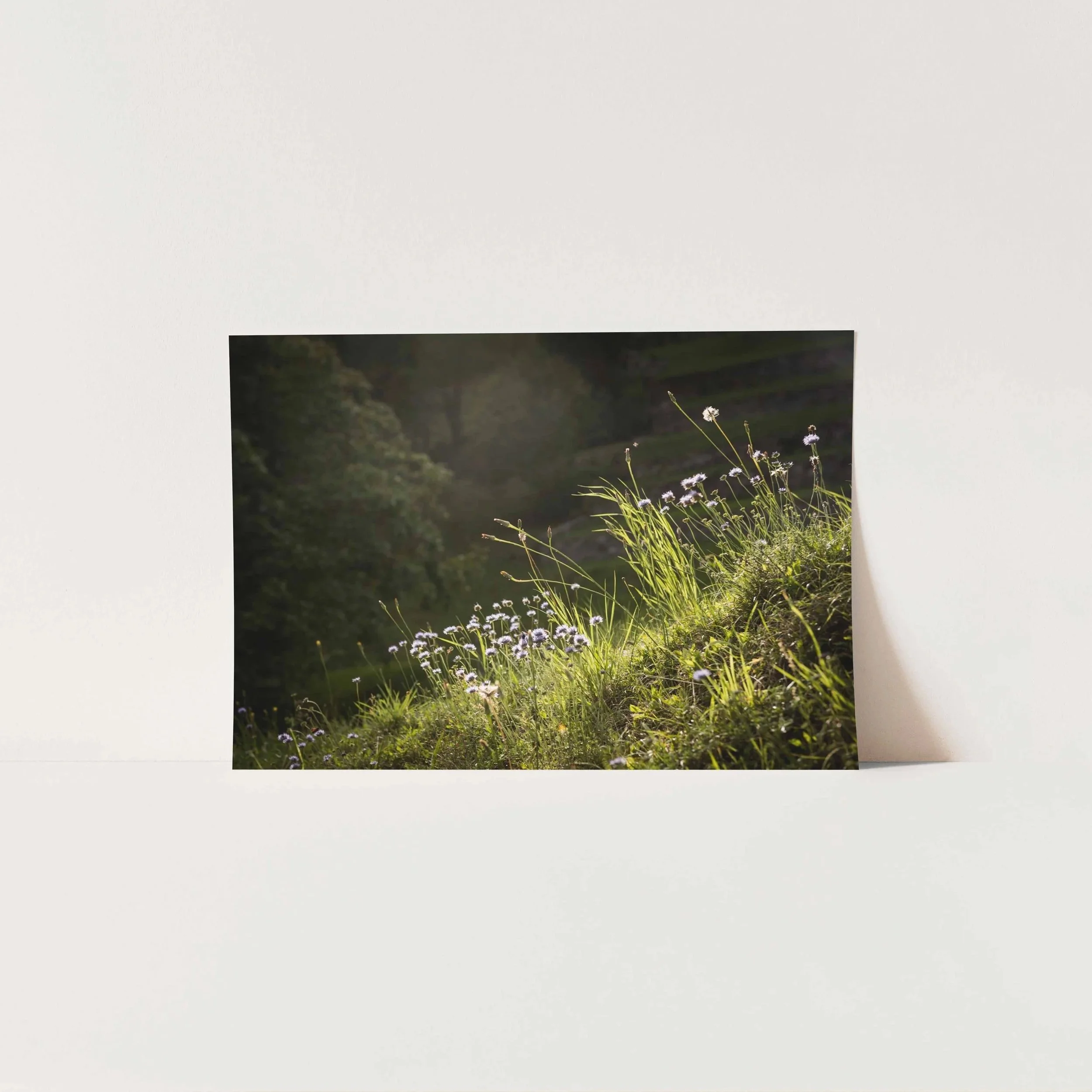 Hillside+Blooms+A4.jpg