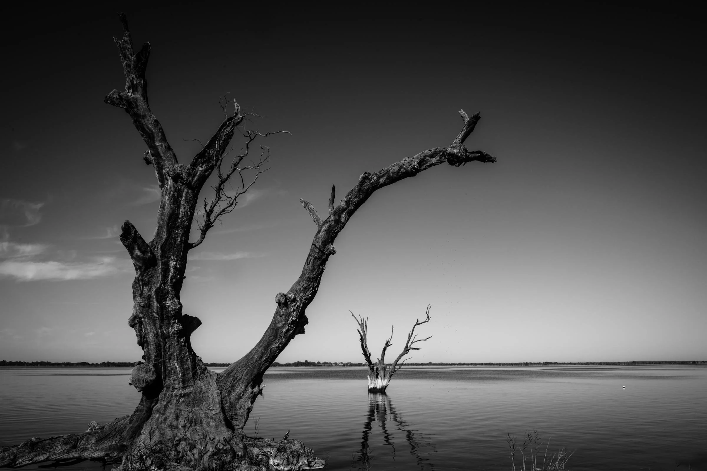 Old Soul #2