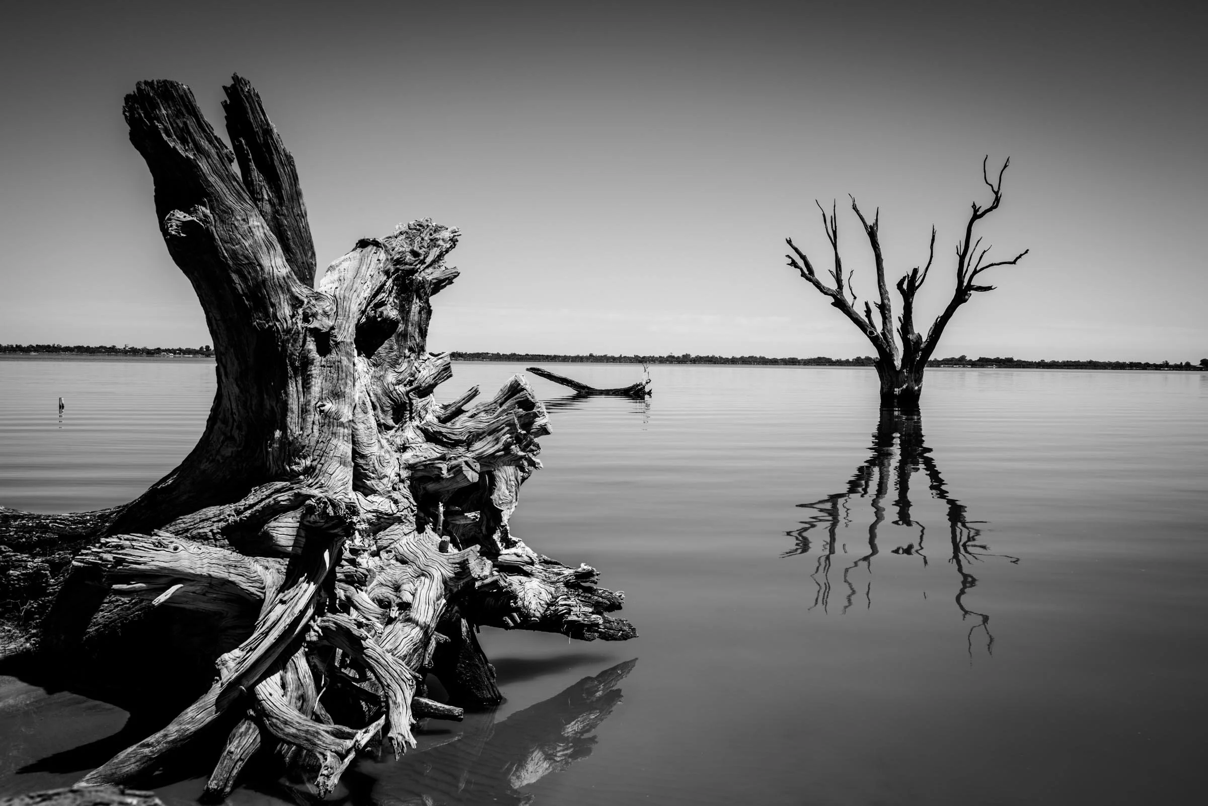 Old Soul #9
