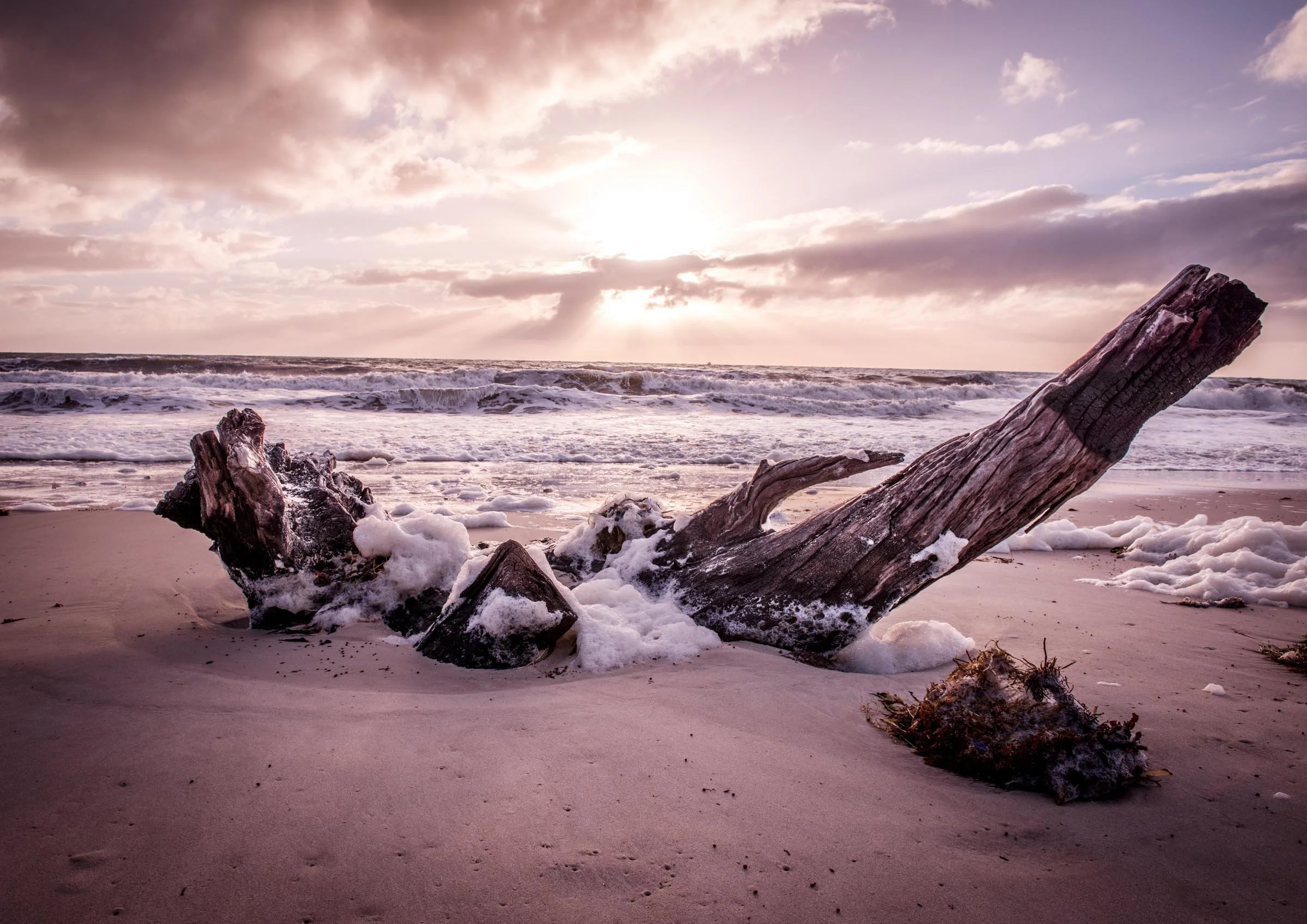 Beached - Carrickalinga
