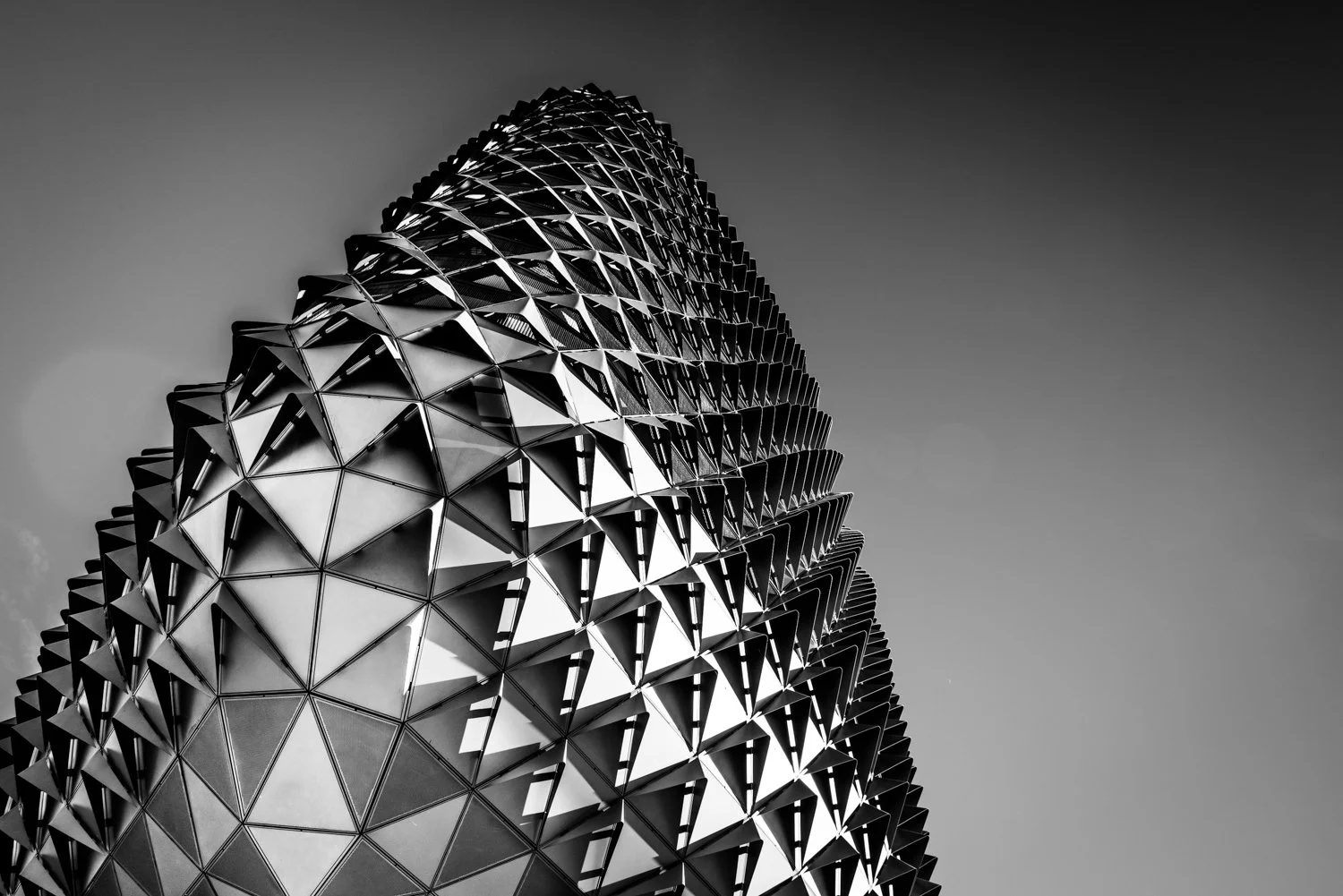 Hedgehog - SAHMRI