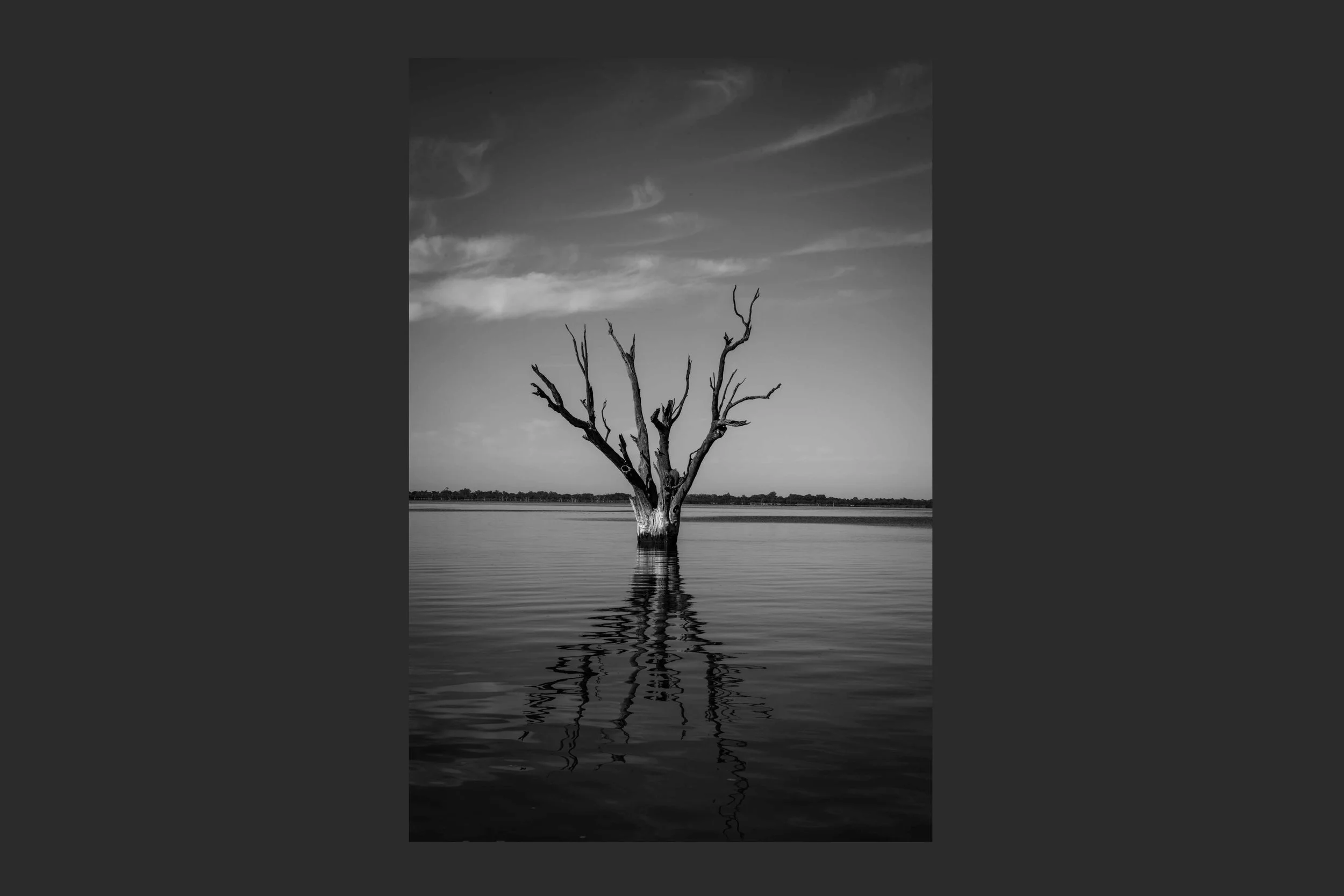 Old Soul #8