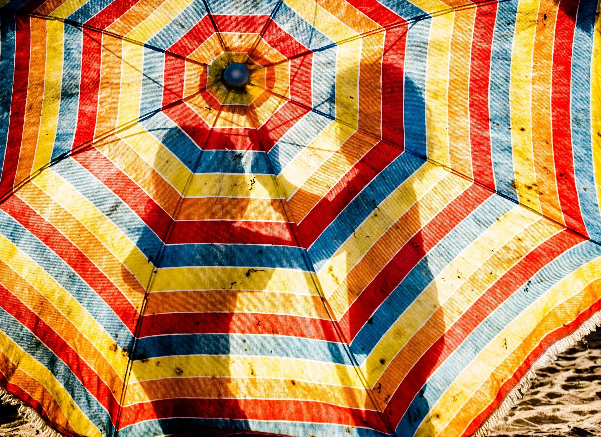 Under the Umbrella