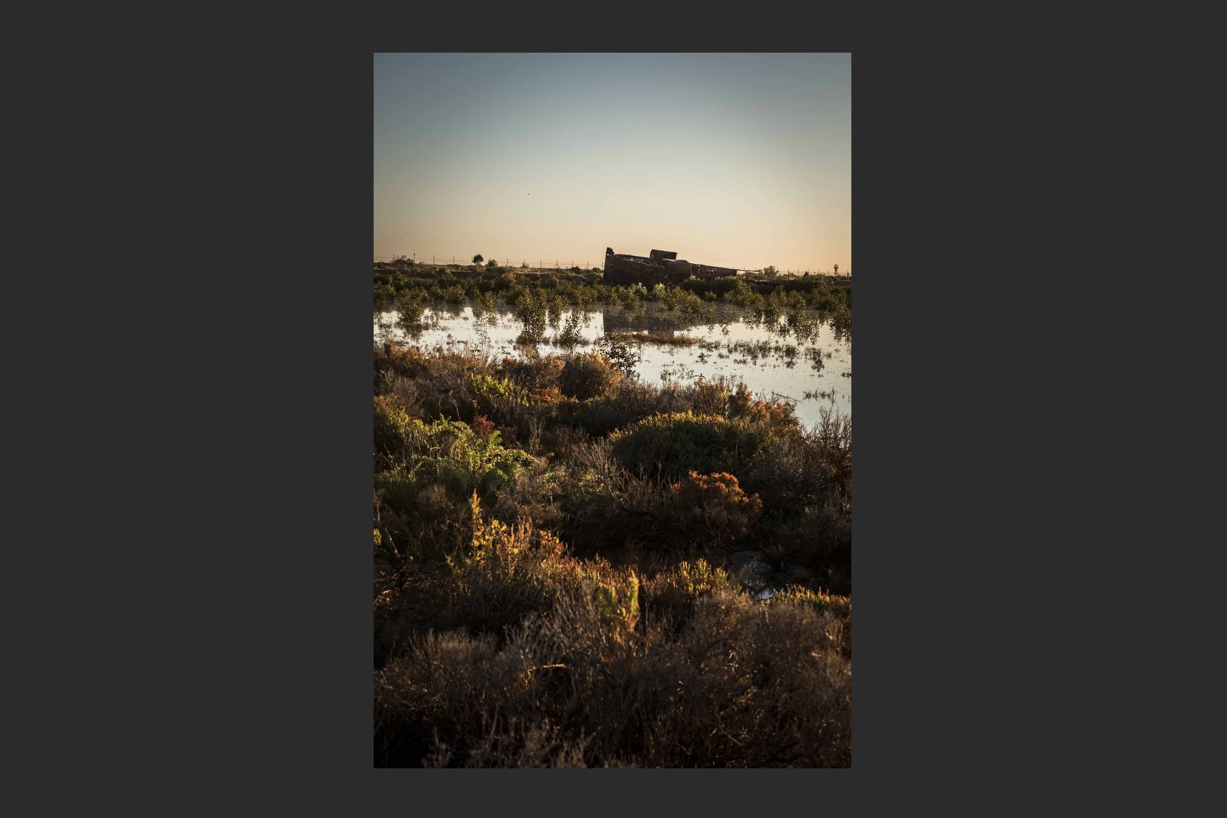 Salt Marsh Moorings