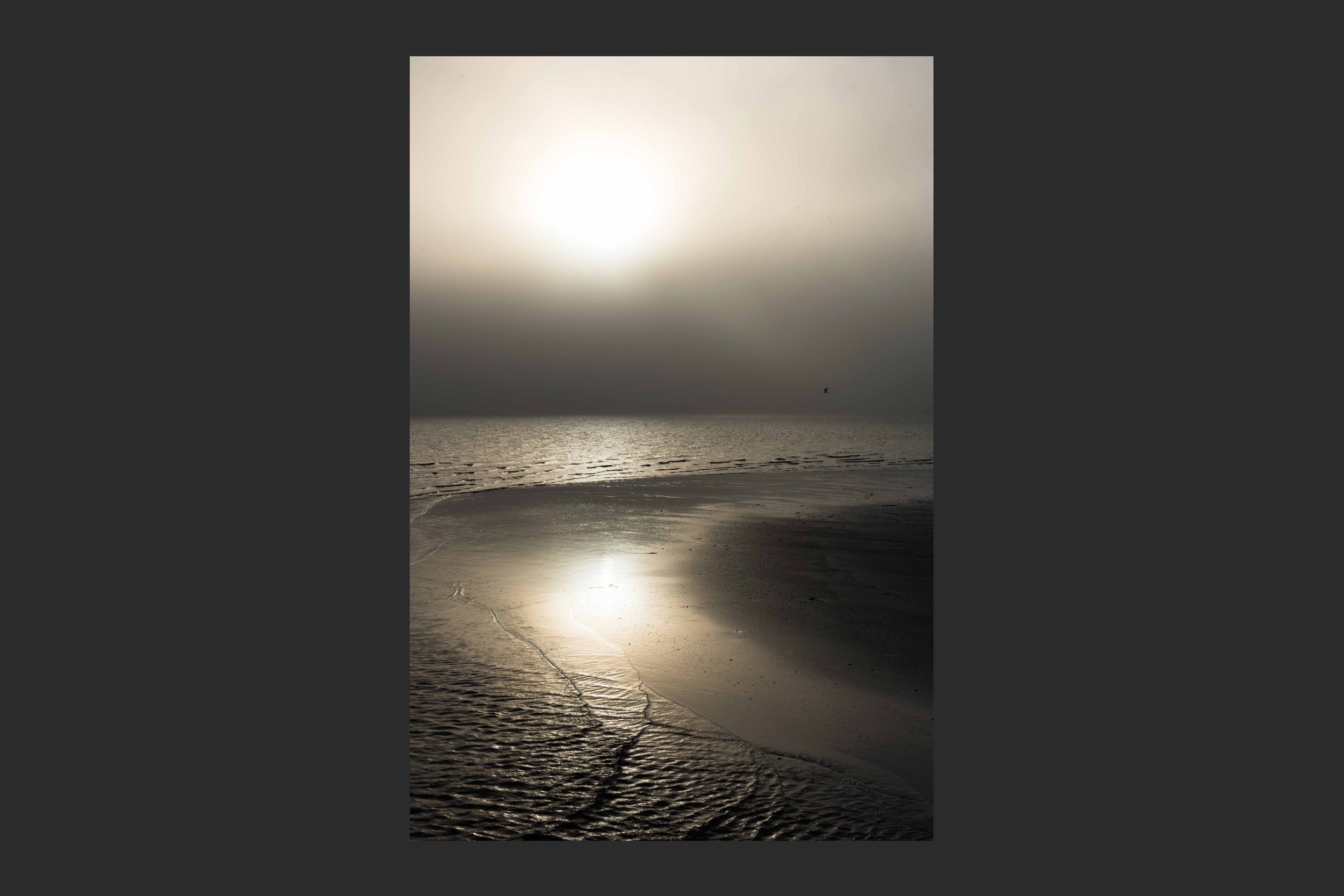 Silver Linings - Semaphore Beach