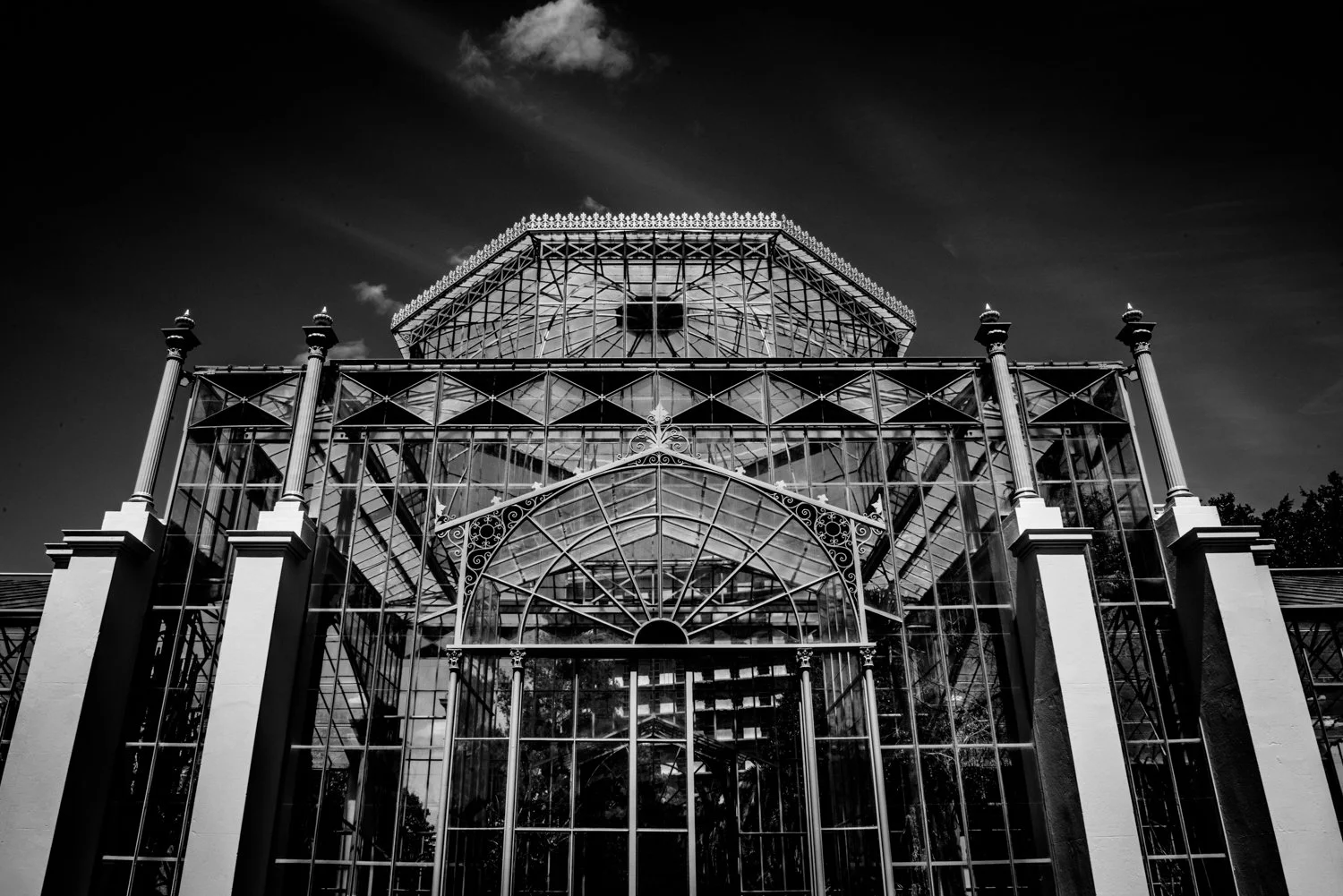 The Art of Glass - Palm House