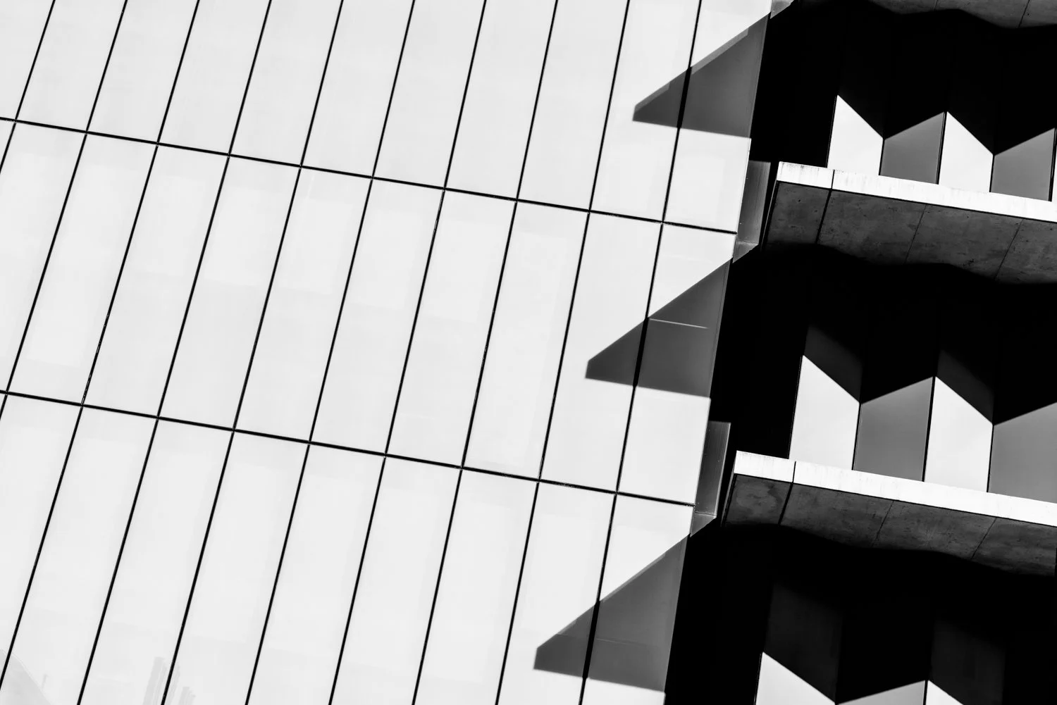 Shadow Play - University of South Australia
