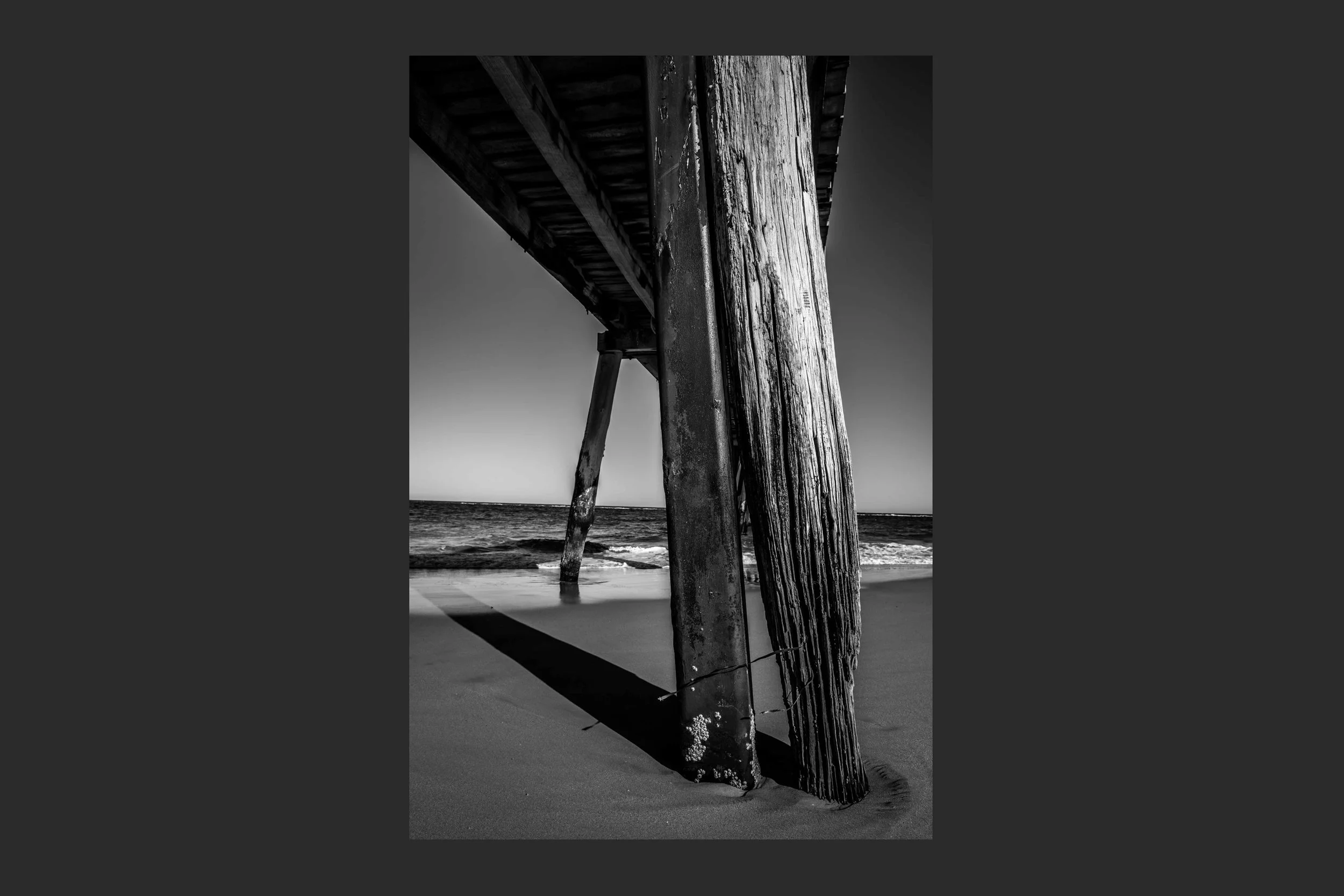 Lunga Legs - Port Noarlunga