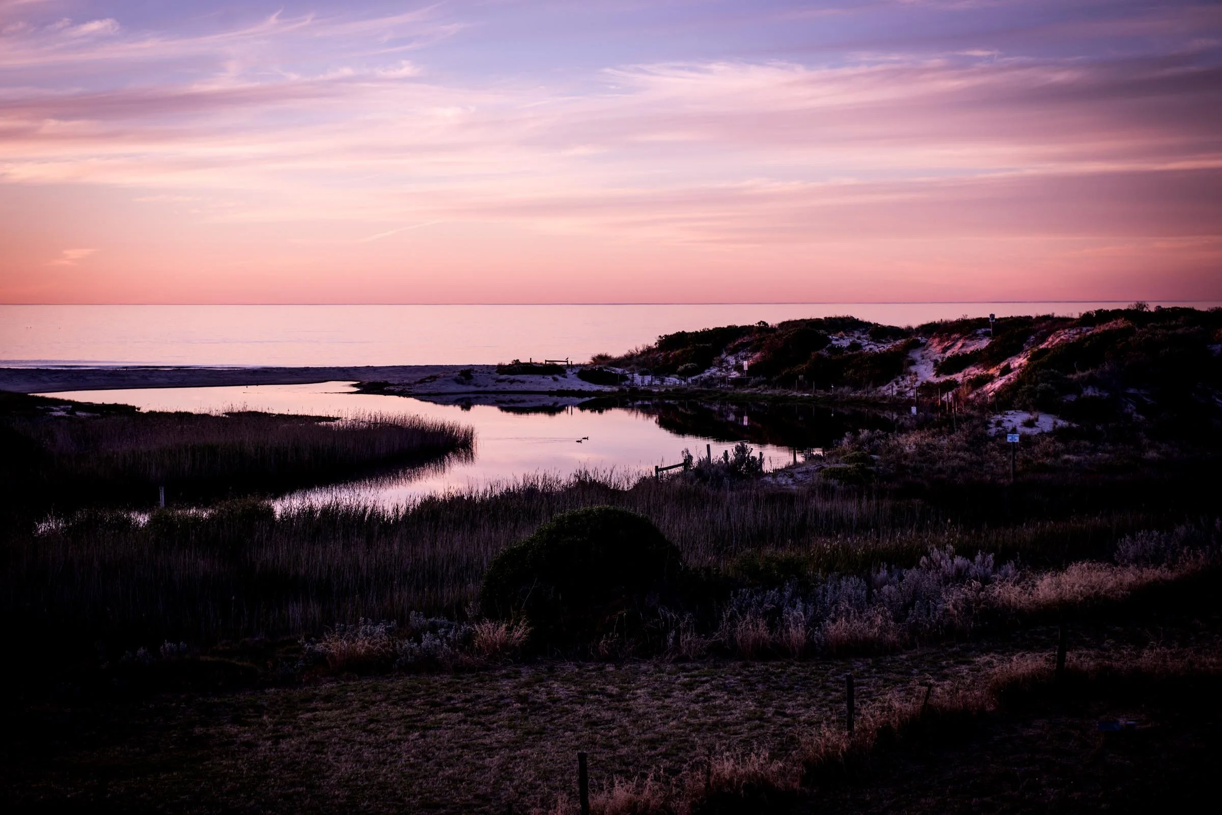 Pink - Carrickalinga