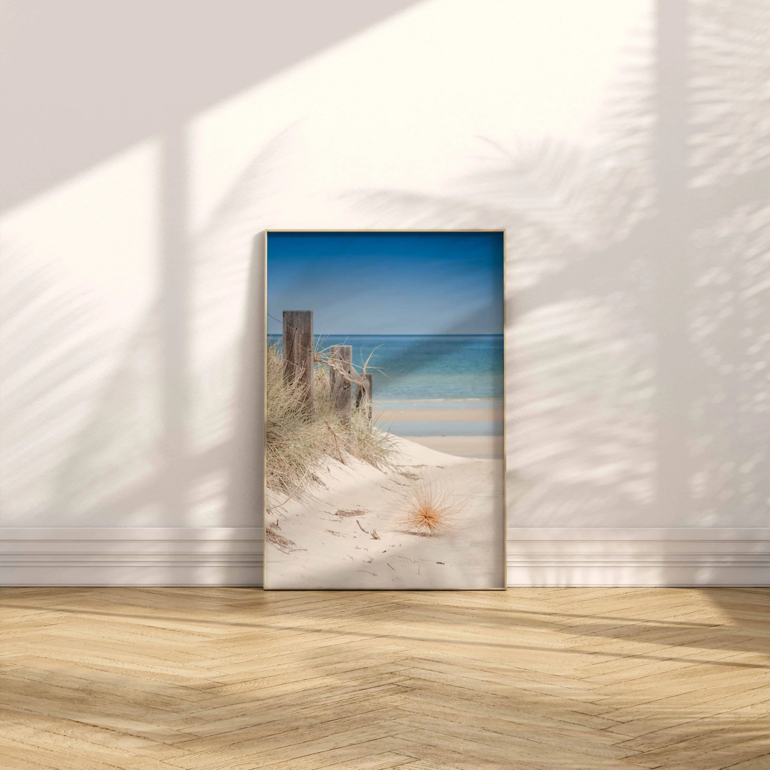 Beachward Bound Custom.jpg
