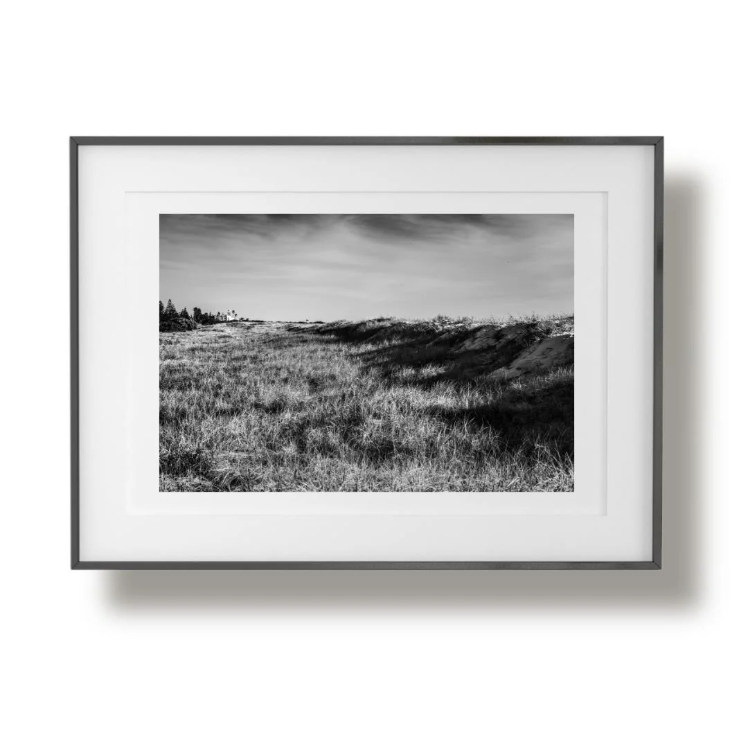 Largs bay dunes black frame.jpg