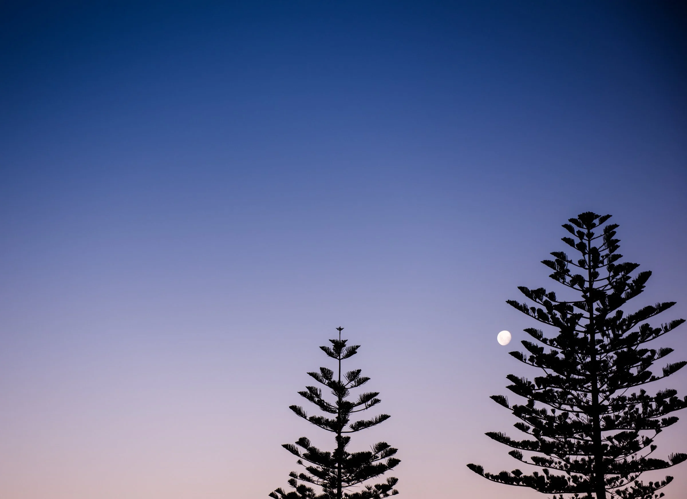 Moon Rise - Largs Bay
