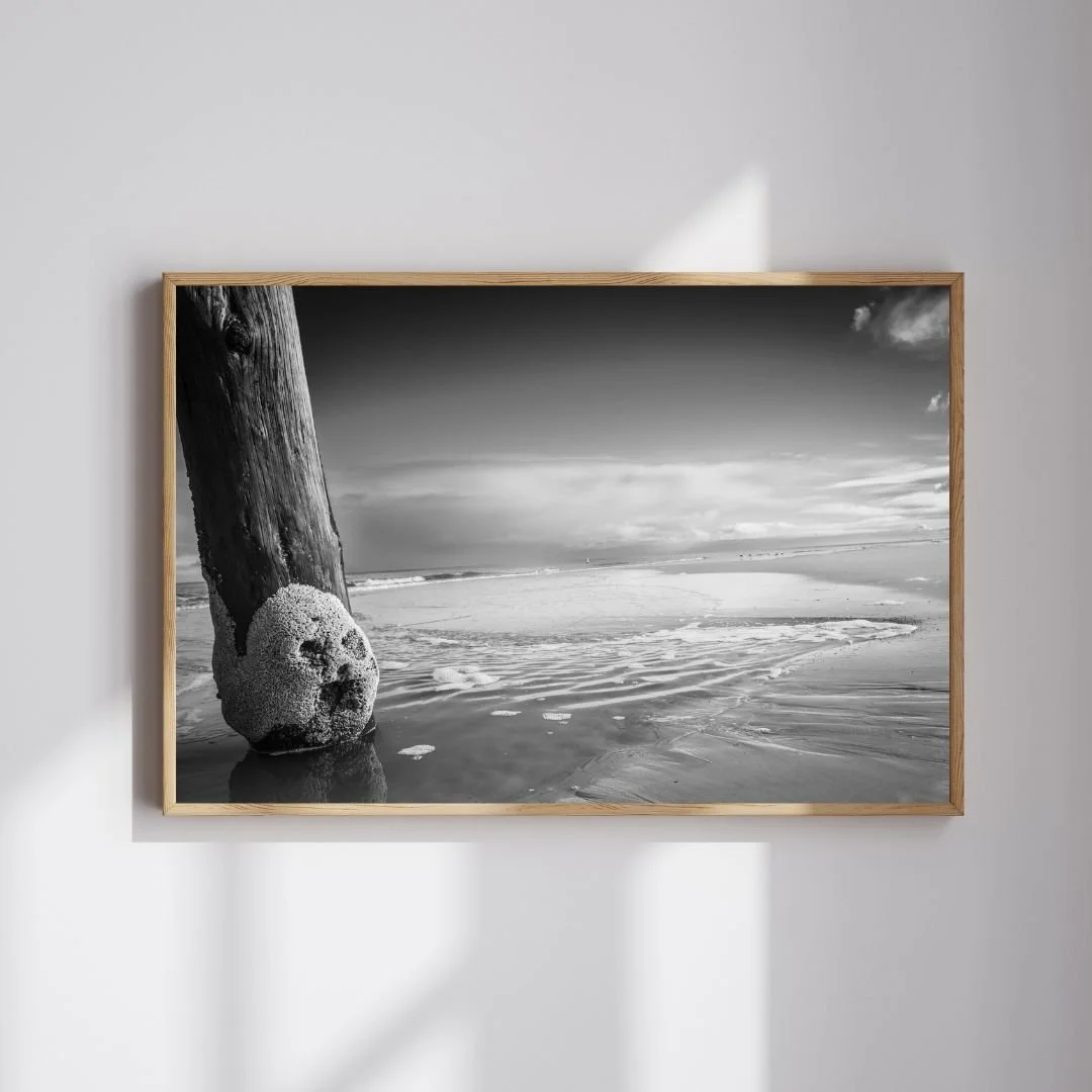 Hedgehog mockup (13).jpg