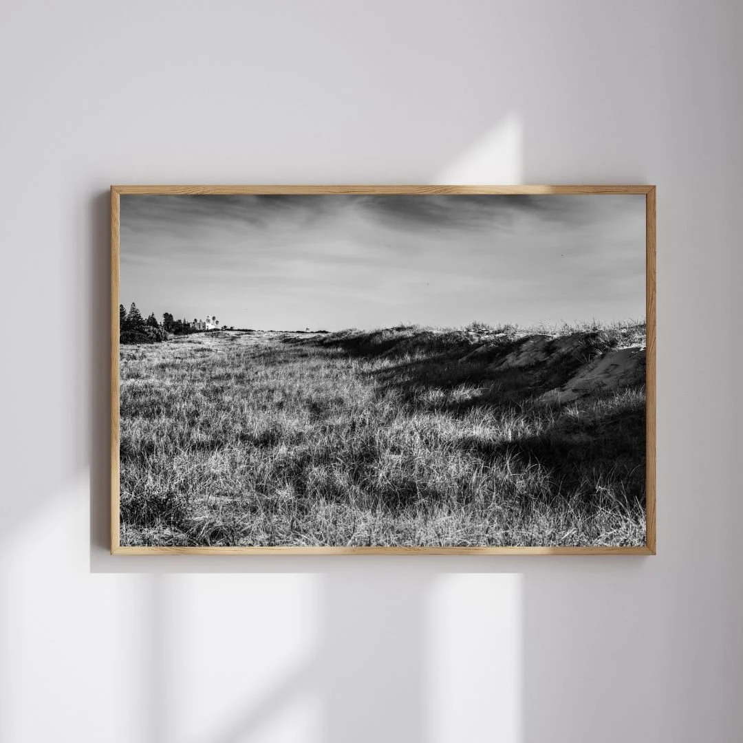 Largs bay dunes wooden.jpg