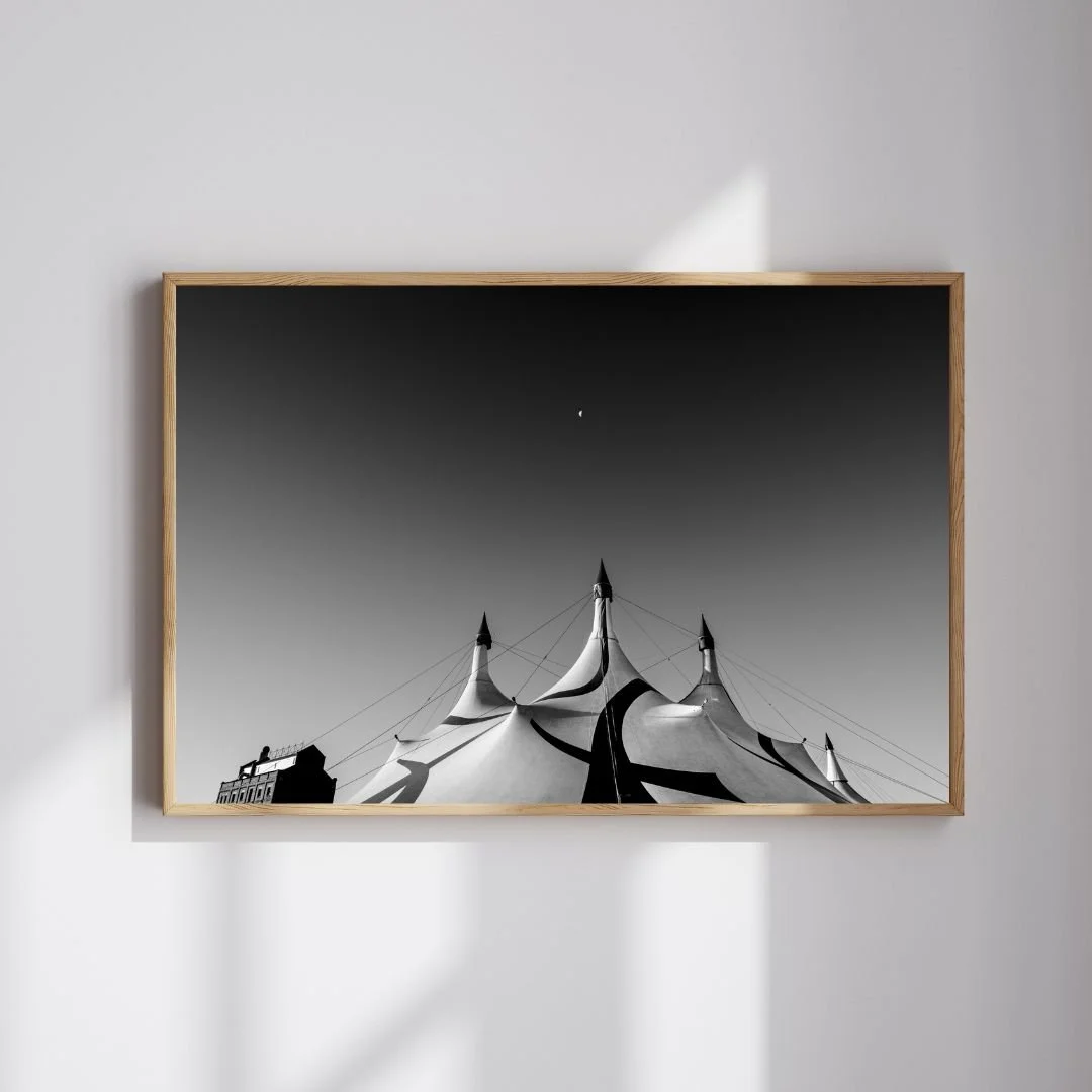 Hedgehog mockup (10).jpg