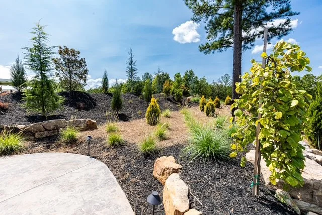 Vetting an Outdoor Lighting Company in Woodstock, GA When It Is One Part of a Bigger Project
