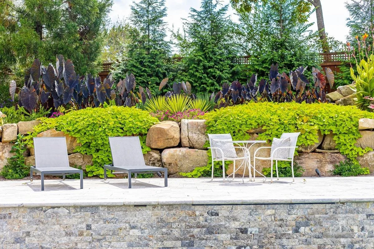 Privacy Hedges for Woodstock GA Homes