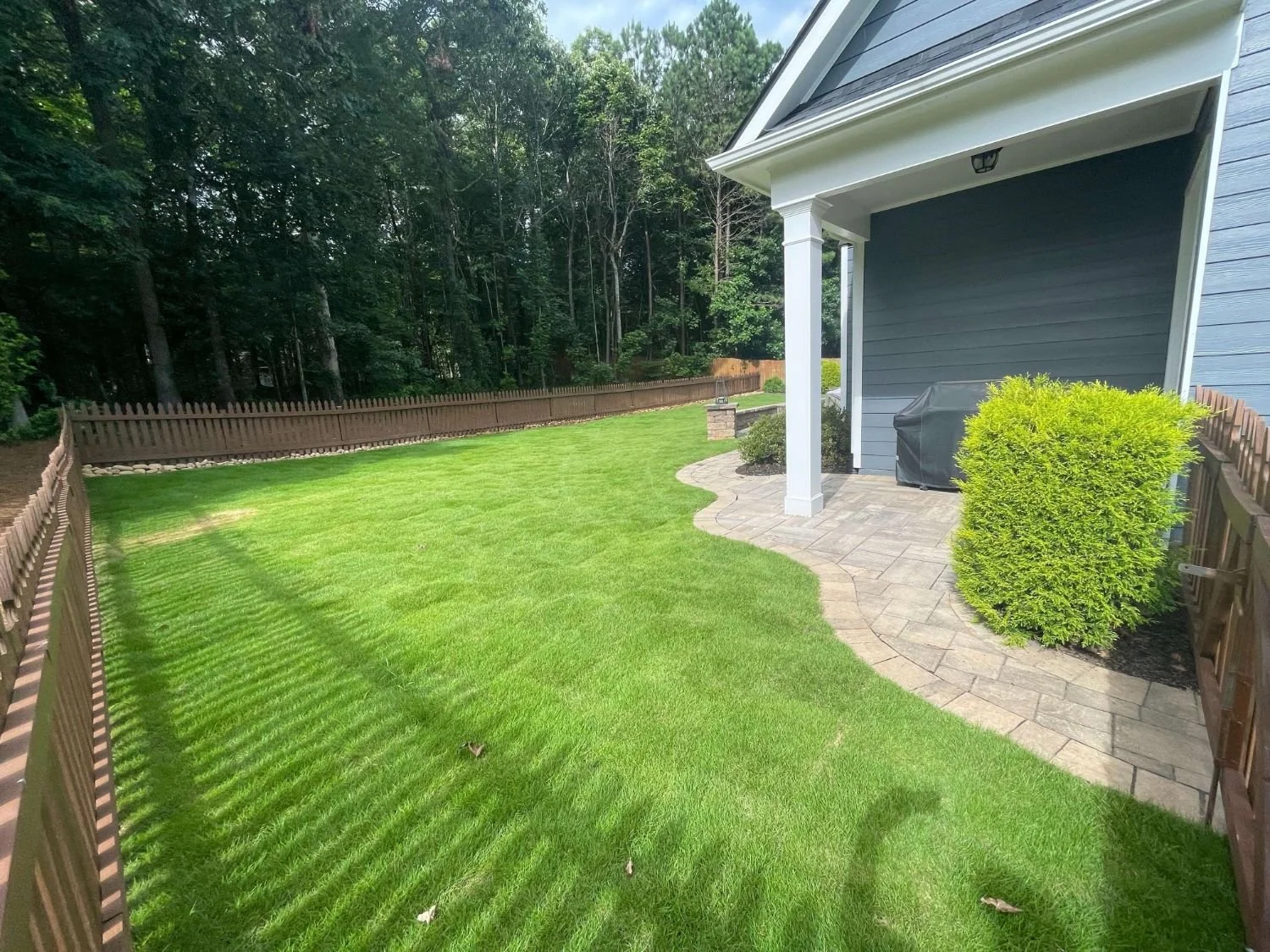 Sod installation creating a lush lawn in Canton, GA