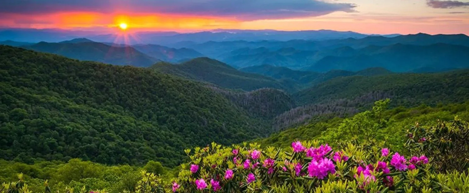 Blue Ridge, GA Landscaping & Lawn Care Services