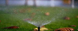 The Best Time to Water Your Grass for a Lush Lawn | O'Neill Landscape Group