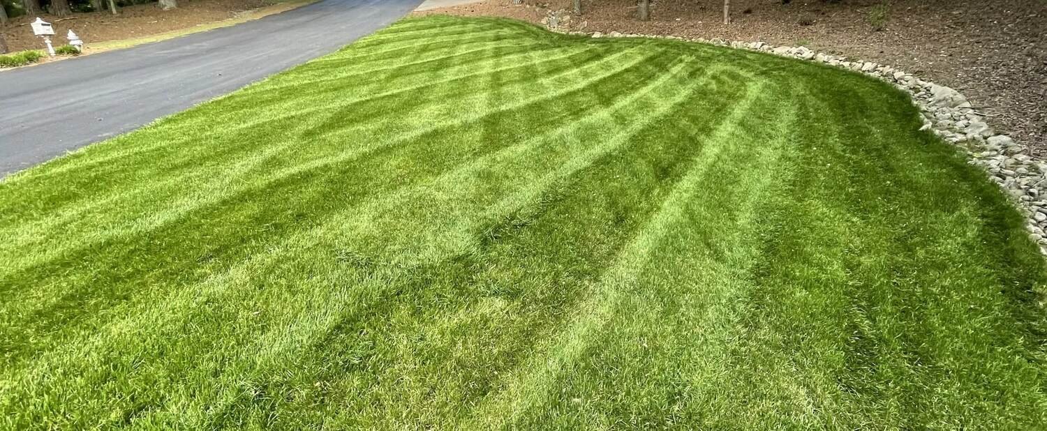 Pre-emergent weed treatment applied to prevent invasive growth in Johns Creek, GA