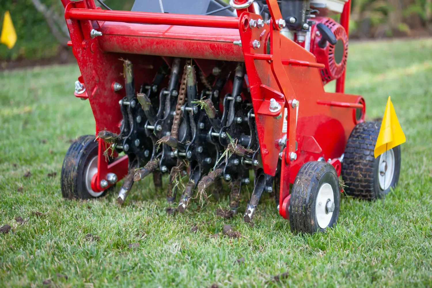  Lawn Aeration