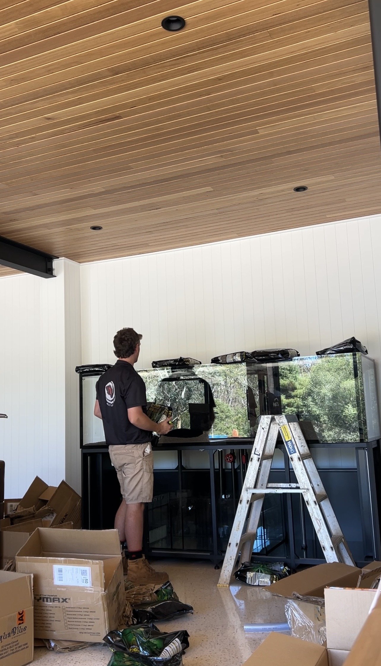 A man standing in a room with a wooden ceiling and white walls, surrounded by boxes, working on installing a large fish tank with a glass front, under a window. A ladder is positioned nearby.
