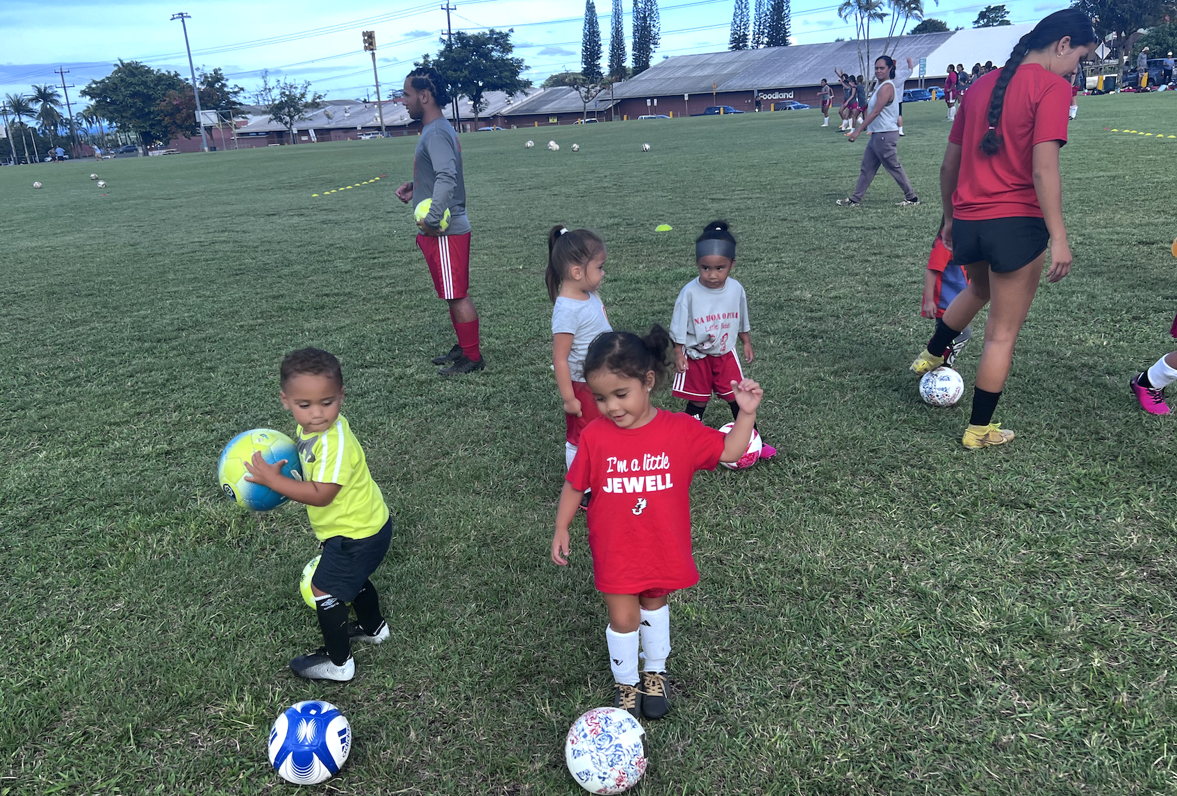 Na Hoa o Puna Happenings