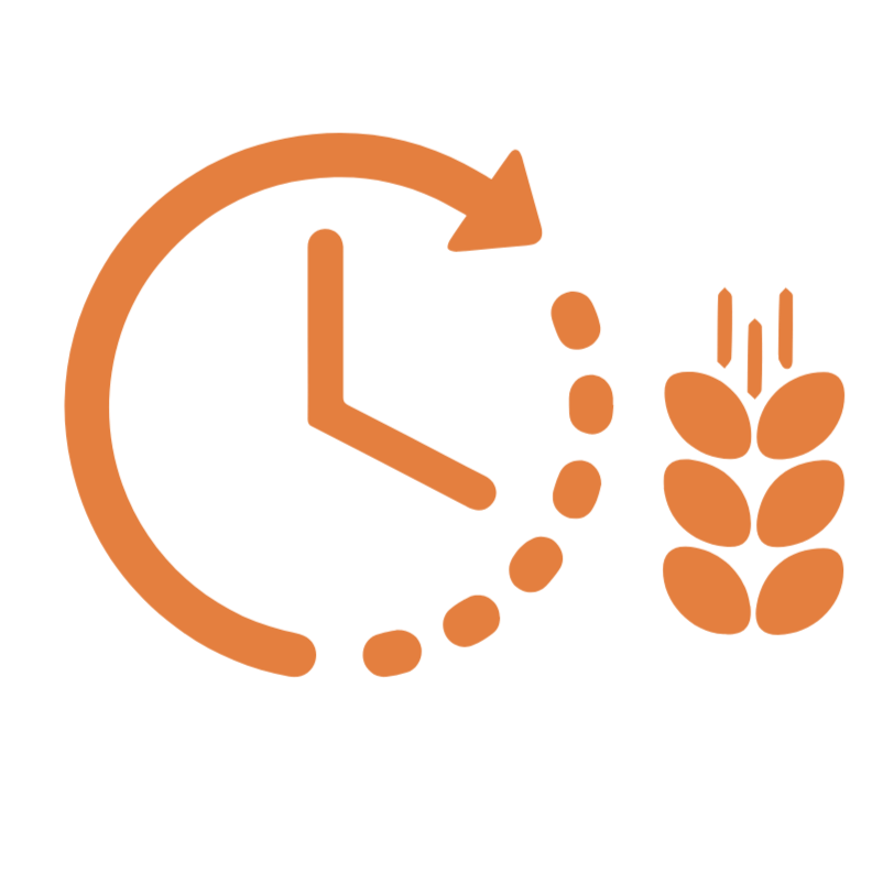Icon of a clock with an arrow around it and a stalk of wheat