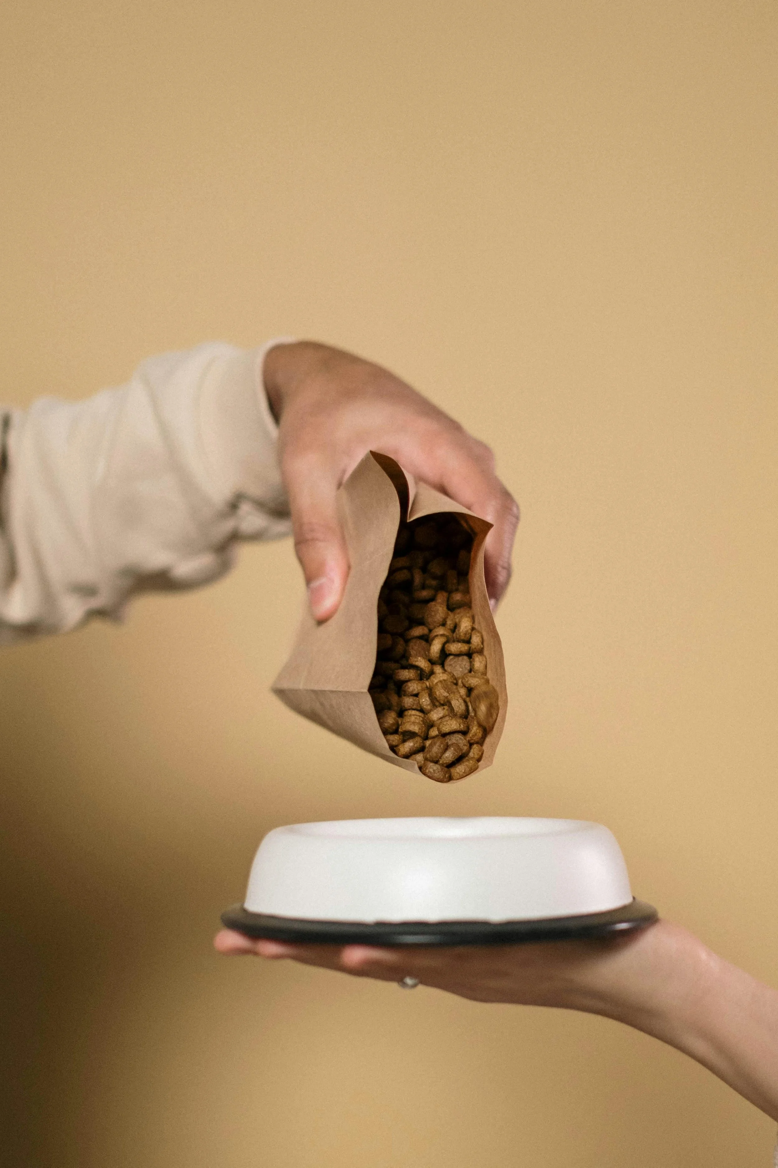 A hand placing a pile of coffee beans into a white pet food bowl.