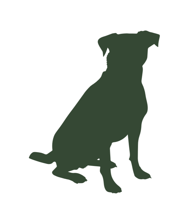 Silhouette of a sitting dog facing forward.