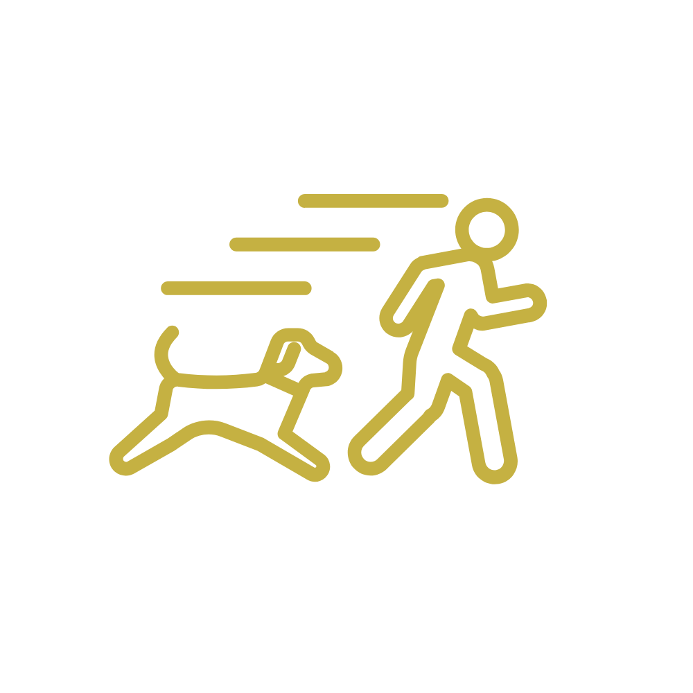 Minimalist line drawing of a person running with a dog in pursuit, illustrating speed and activity.