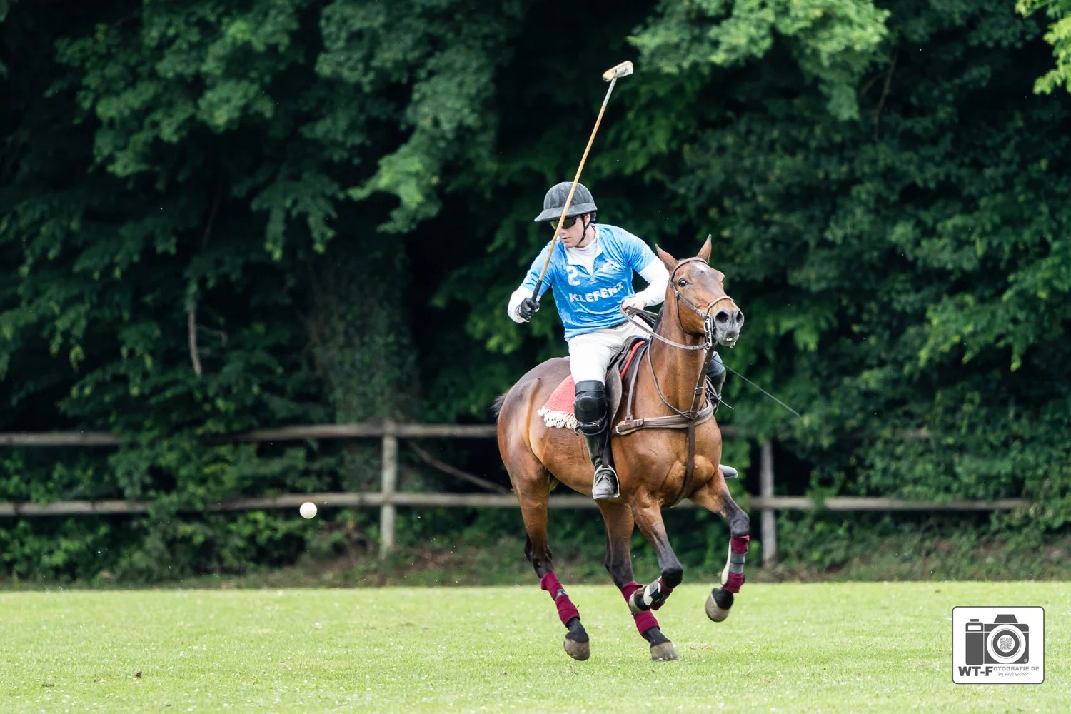 Polo Sport-5.jpg
