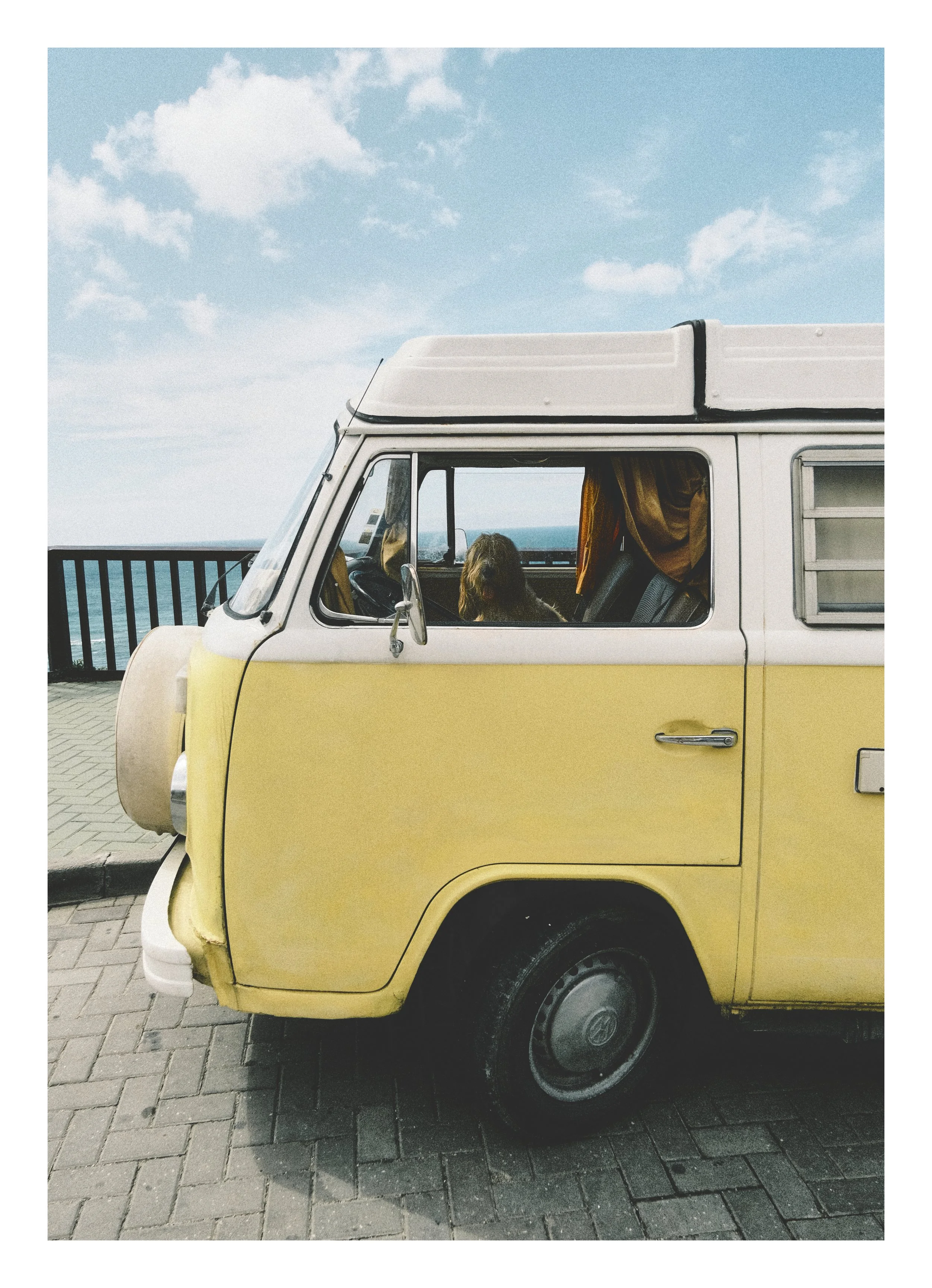 DSCF5018_2 edit25.jpg