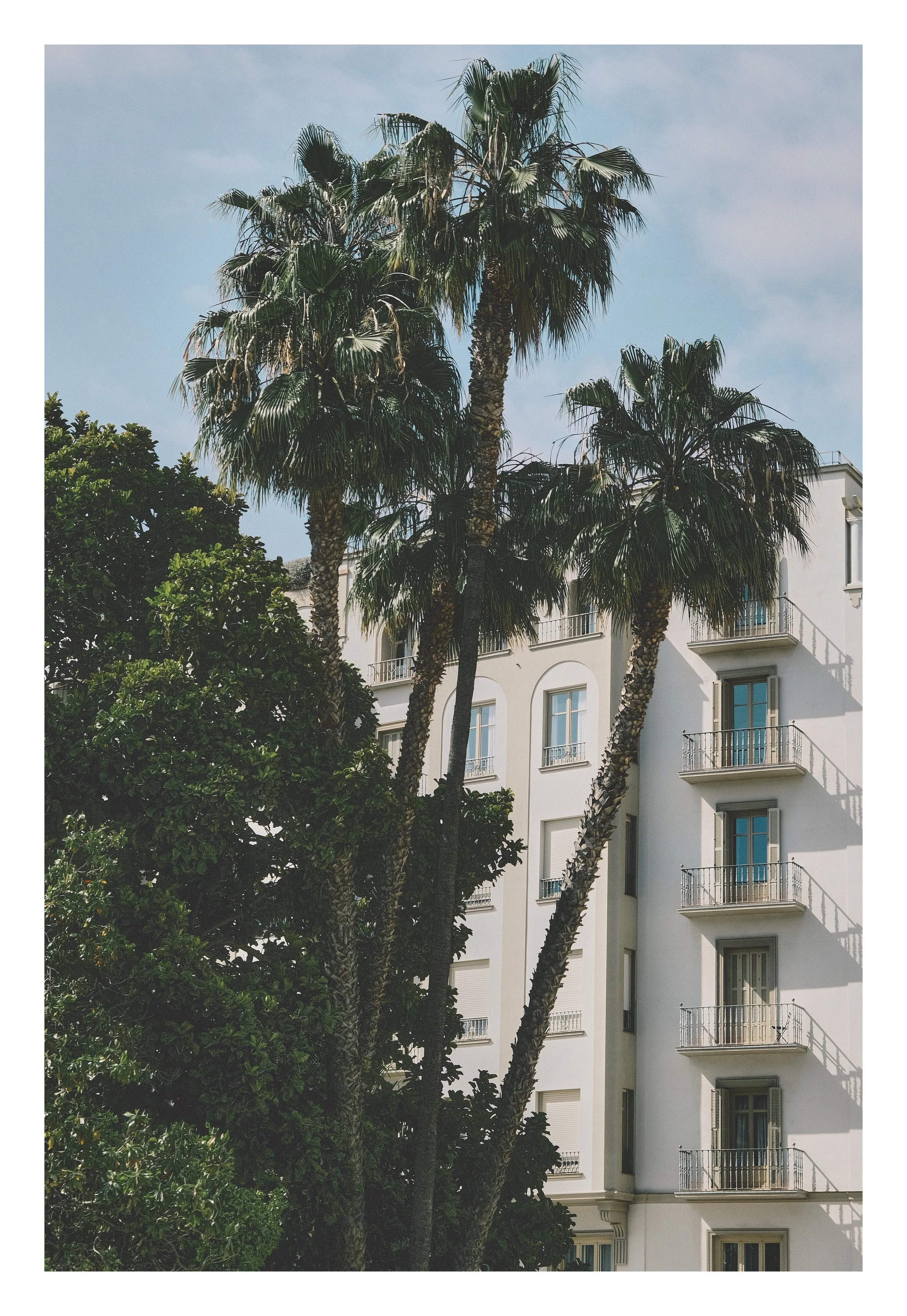 DSCF9811 edit25.jpeg