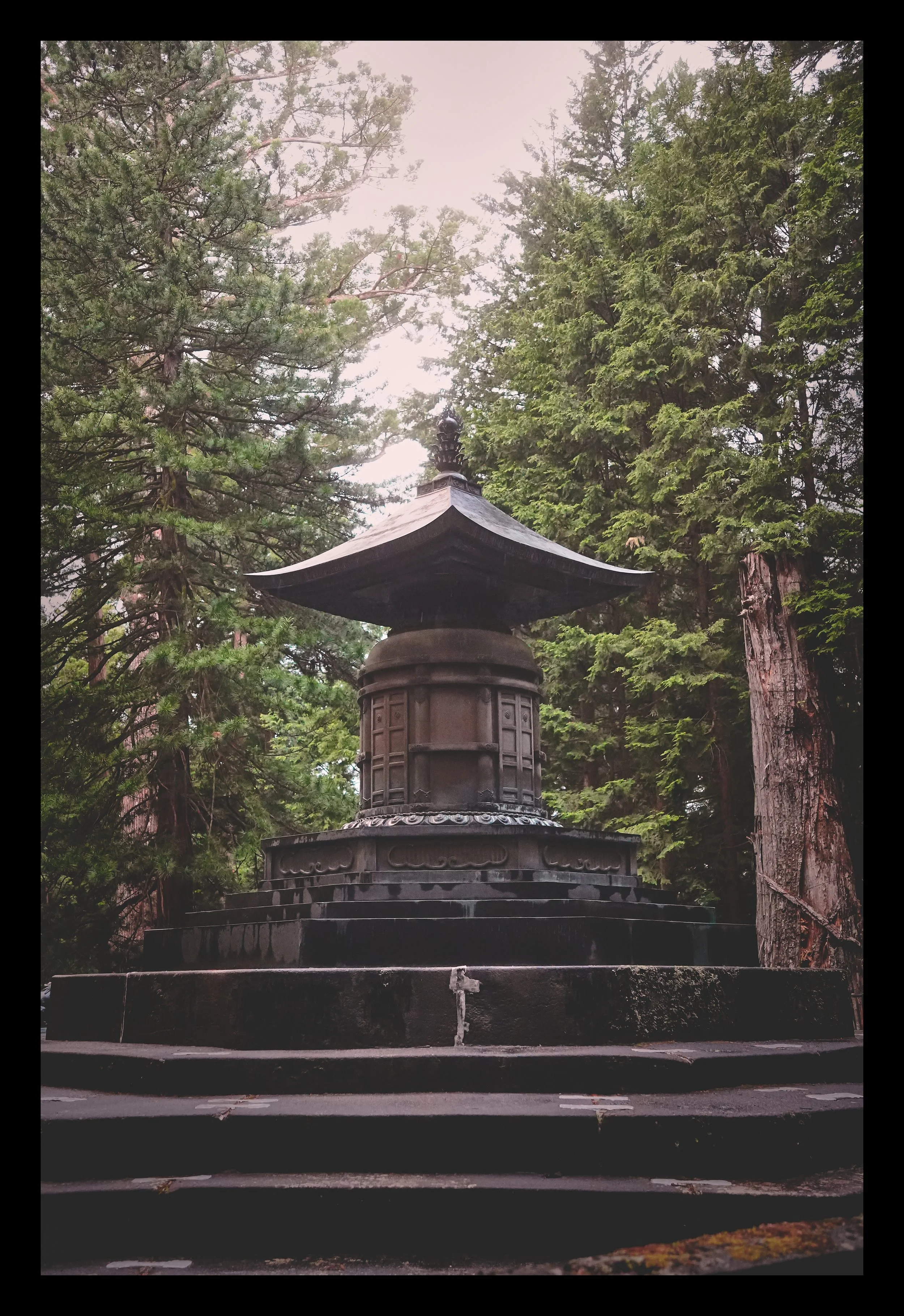 SNY00397 edit.jpg
