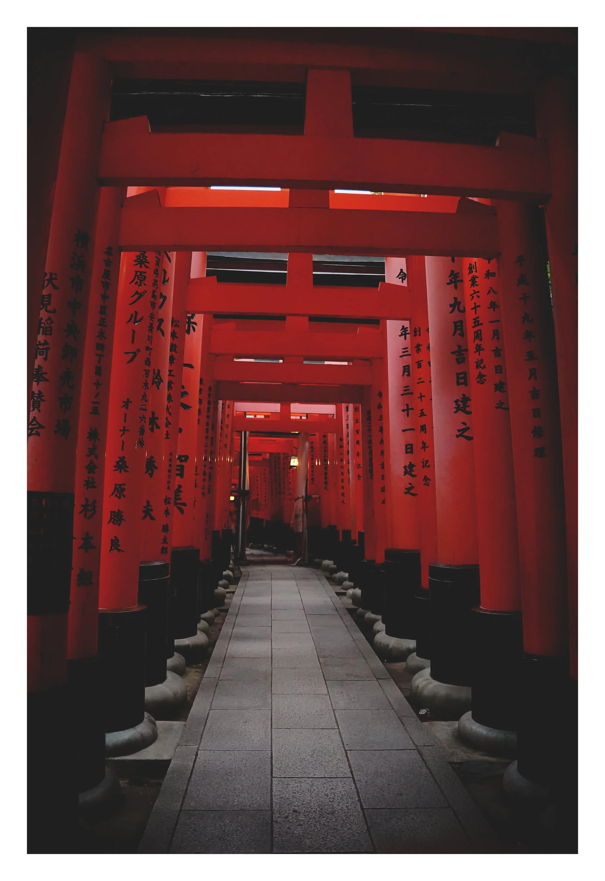SNY00865 edit.jpg